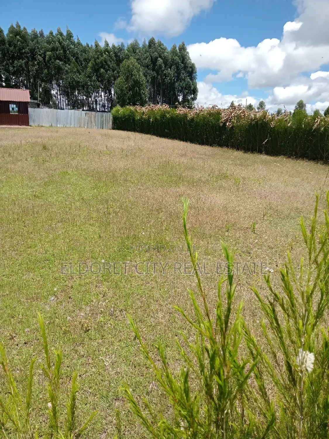 Title Deed Kiplombe Plot: 100m from Tarmac, 1/4 Acre Opportunity in Eldoret CBD