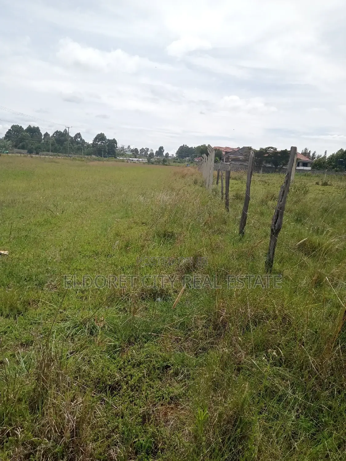 Own Your Piece of Elgonview - 1/4 Plot Title Land in Eldoret CBD