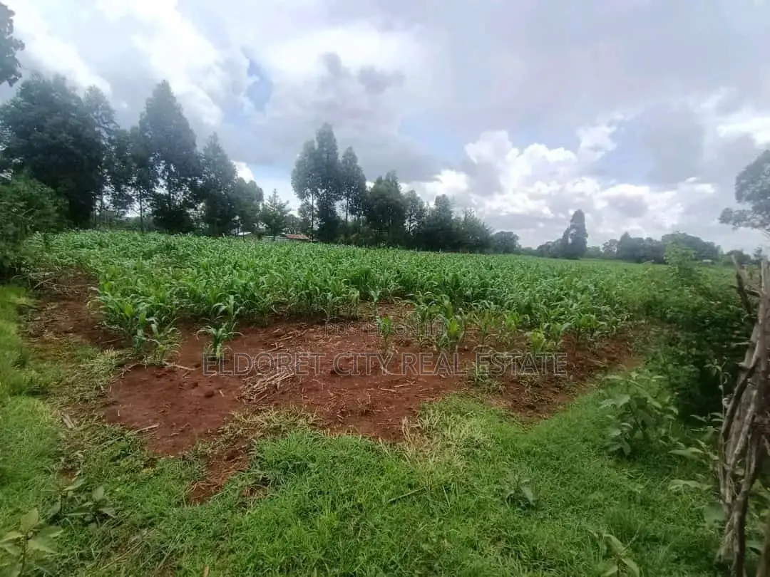 4.5 Acres Soy Farming Property for Sale in Eldoret CBD