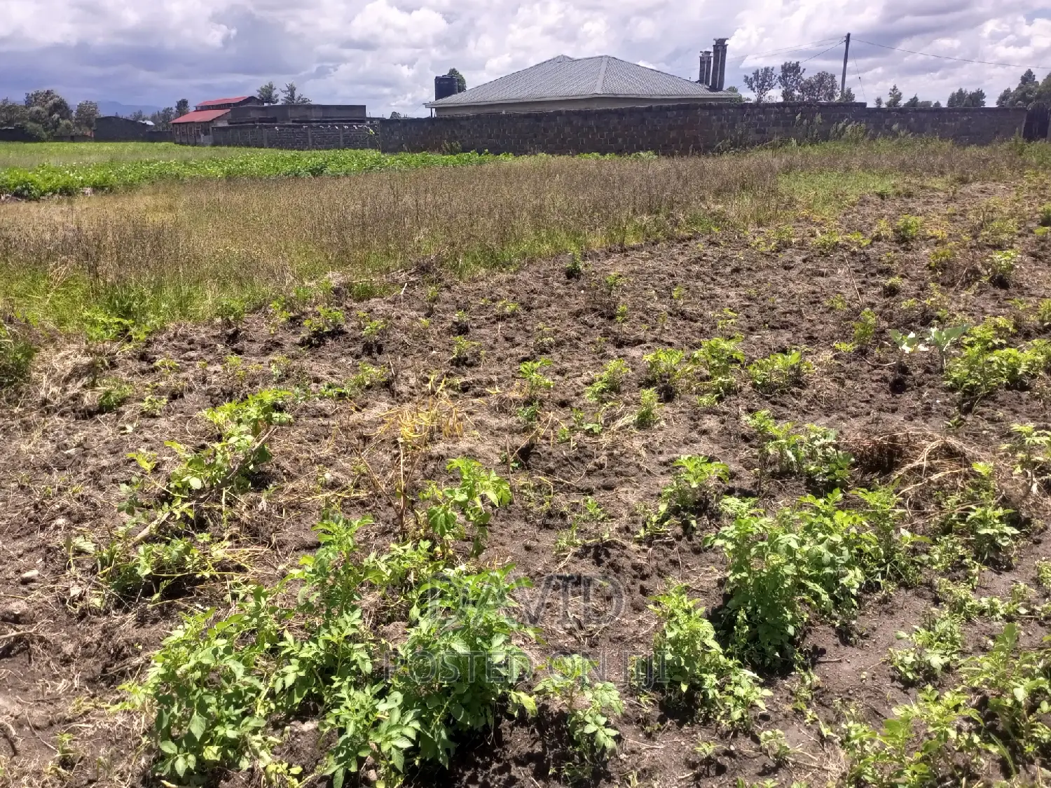Plot for Sale in Lower Mawanga in KITI Area
