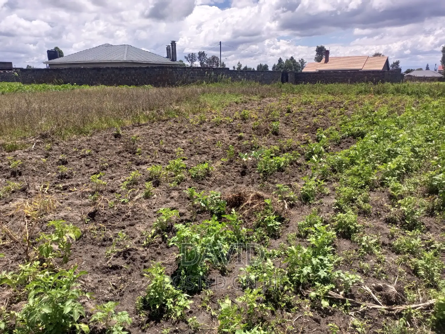 Plot for Sale in Lower Mawanga in KITI Area