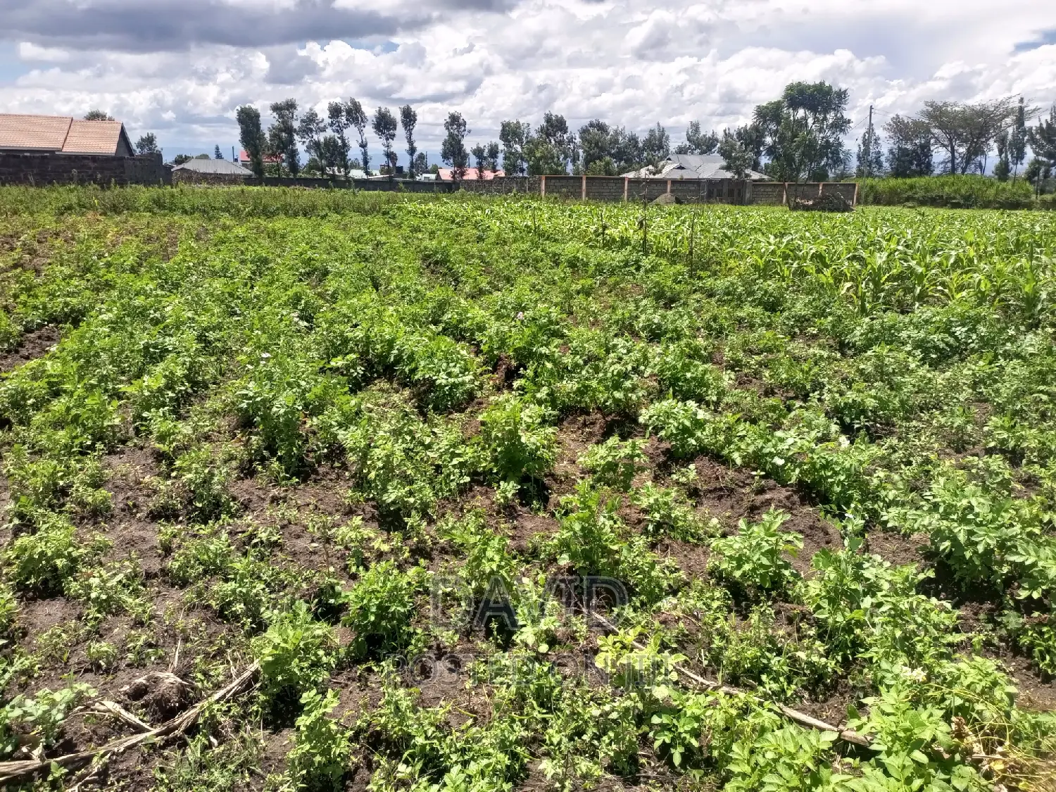 Plot for Sale in Lower Mawanga in KITI Area
