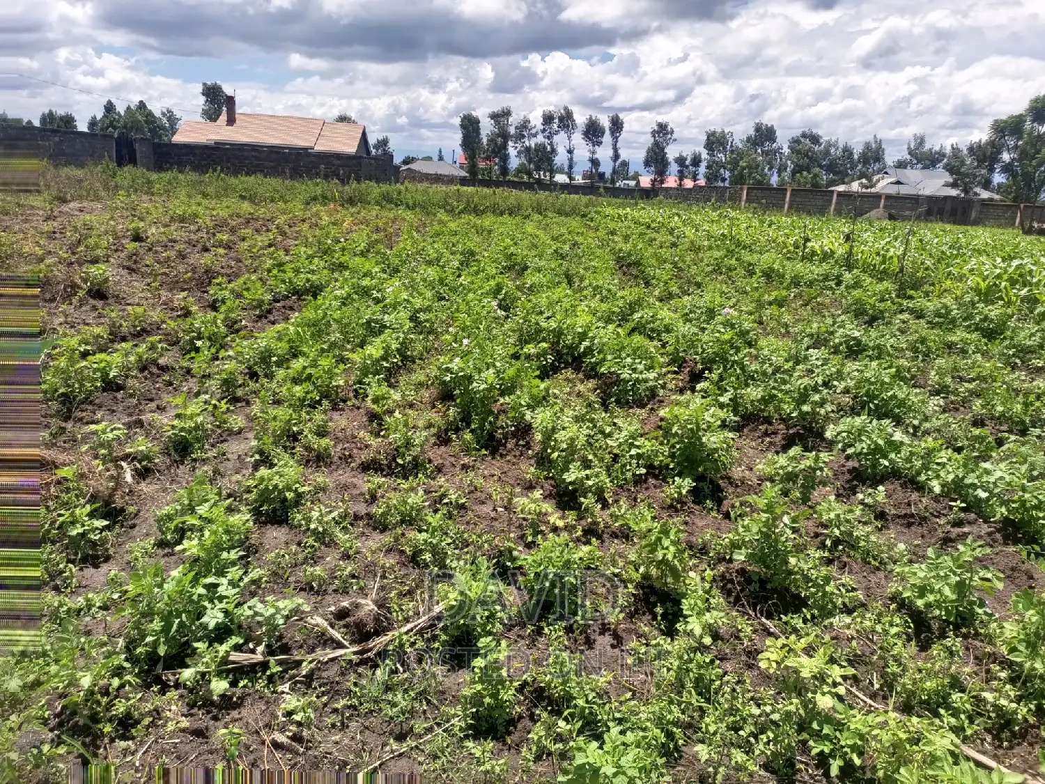 Plot for Sale in Lower Mawanga in KITI Area
