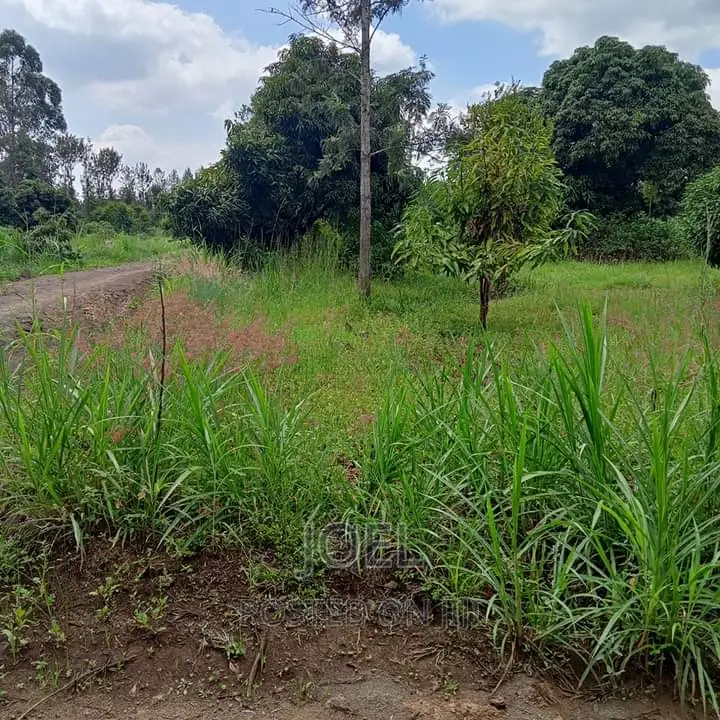 Spacious 4-Acre Land in Langa Langa Gilgil Available for Sale in Langa Langa