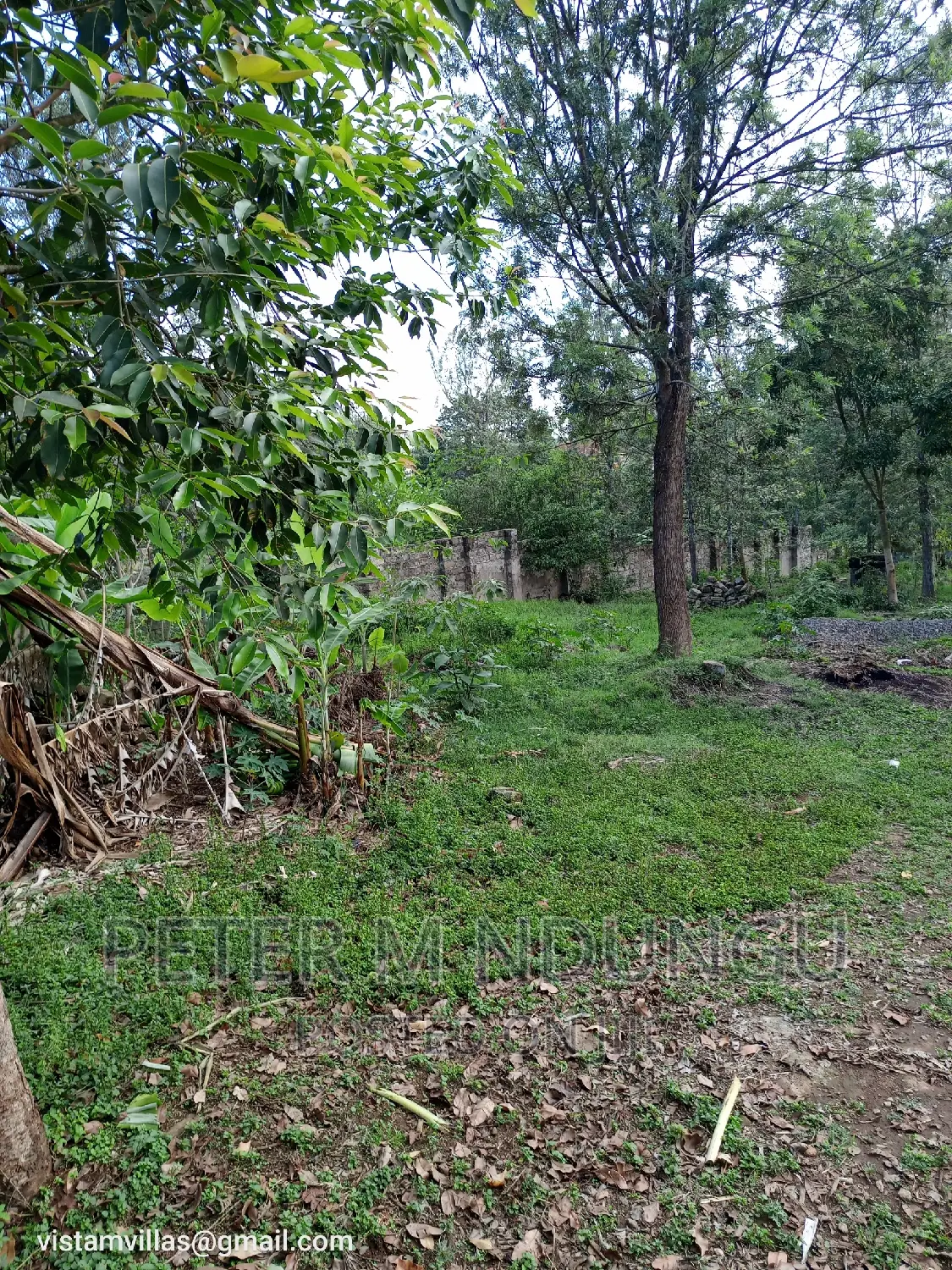 Thindigua Land for Sale: 3/4 Acre Close to Windsor Hotel in Kiambu / Kiambu