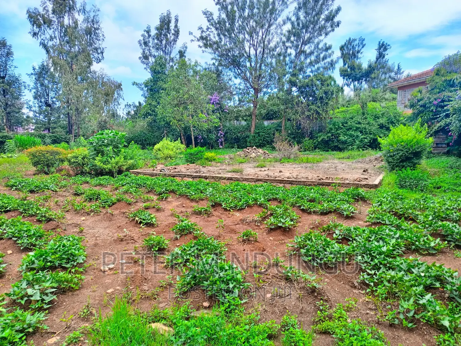 Spacious 1/2 Acre Plot for Sale: Thome One in Thome