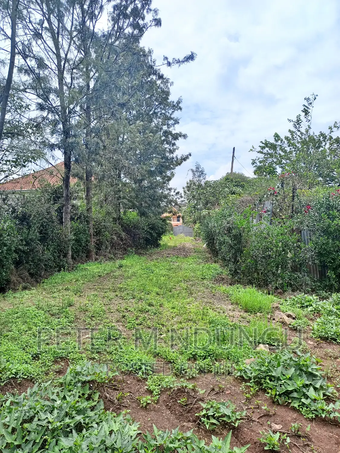 Spacious 1/2 Acre Plot for Sale: Thome One in Thome