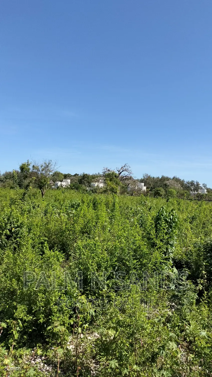 Prime Galu Quarter Acre Land for Sale: Perfect for Your Dream Home! in Ukunda