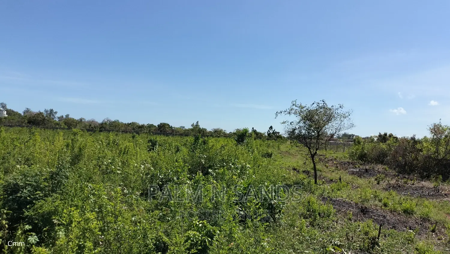 Prime Galu Quarter Acre Land for Sale: Perfect for Your Dream Home! in Ukunda