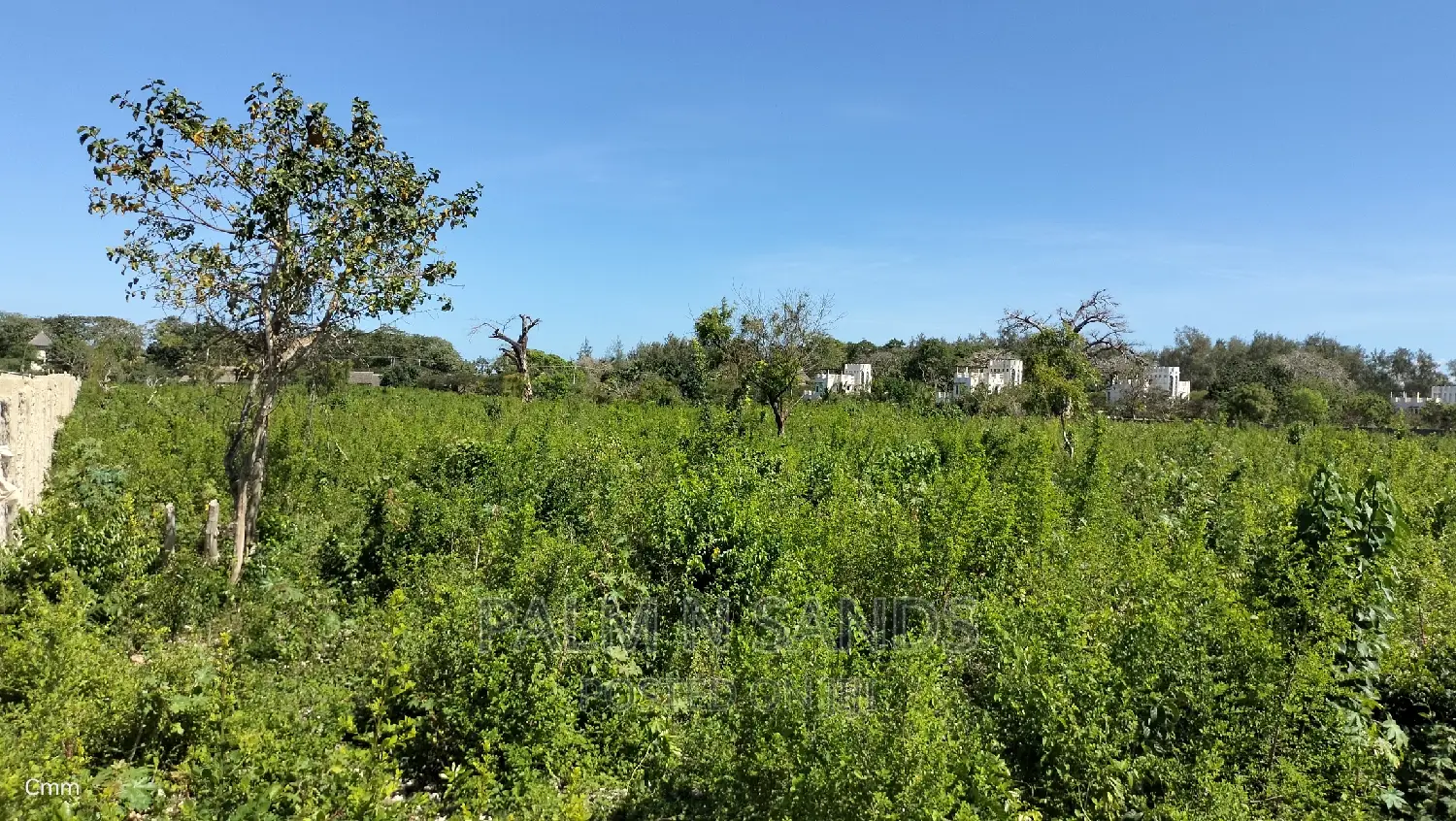 Prime Galu Quarter Acre Land for Sale: Perfect for Your Dream Home! in Ukunda