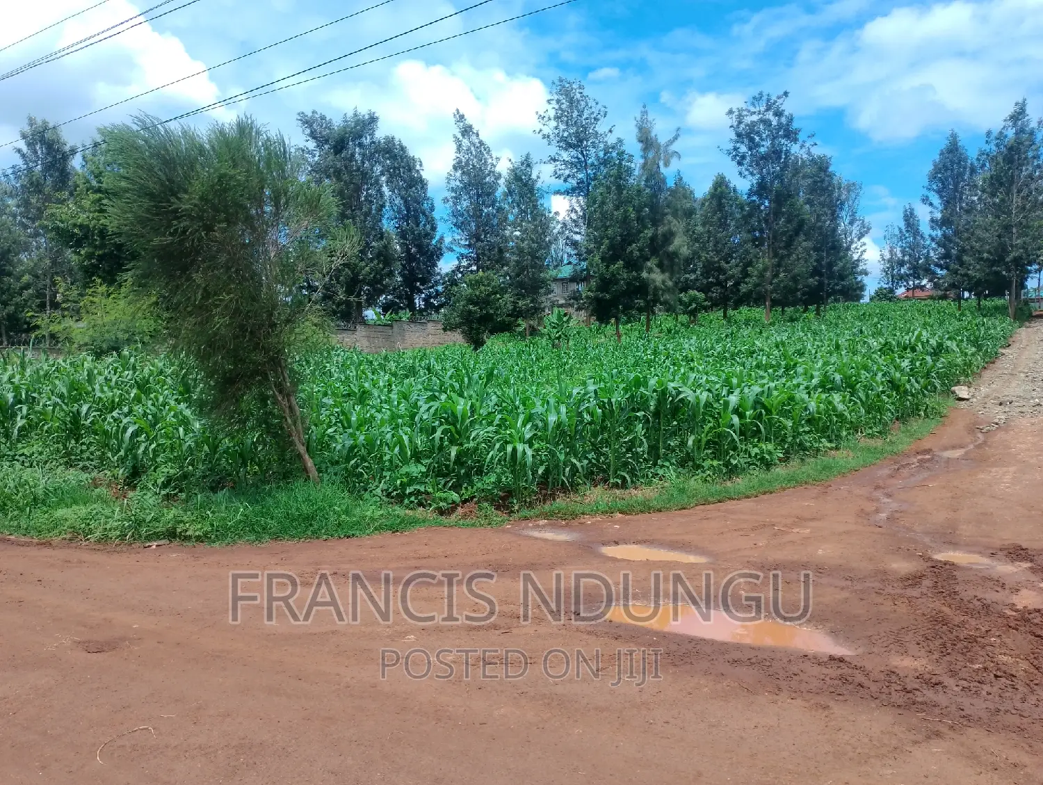 Spacious Residential Plot for Sale: 50x100 Meters in Kamiti in Kiambu / Kiambu 