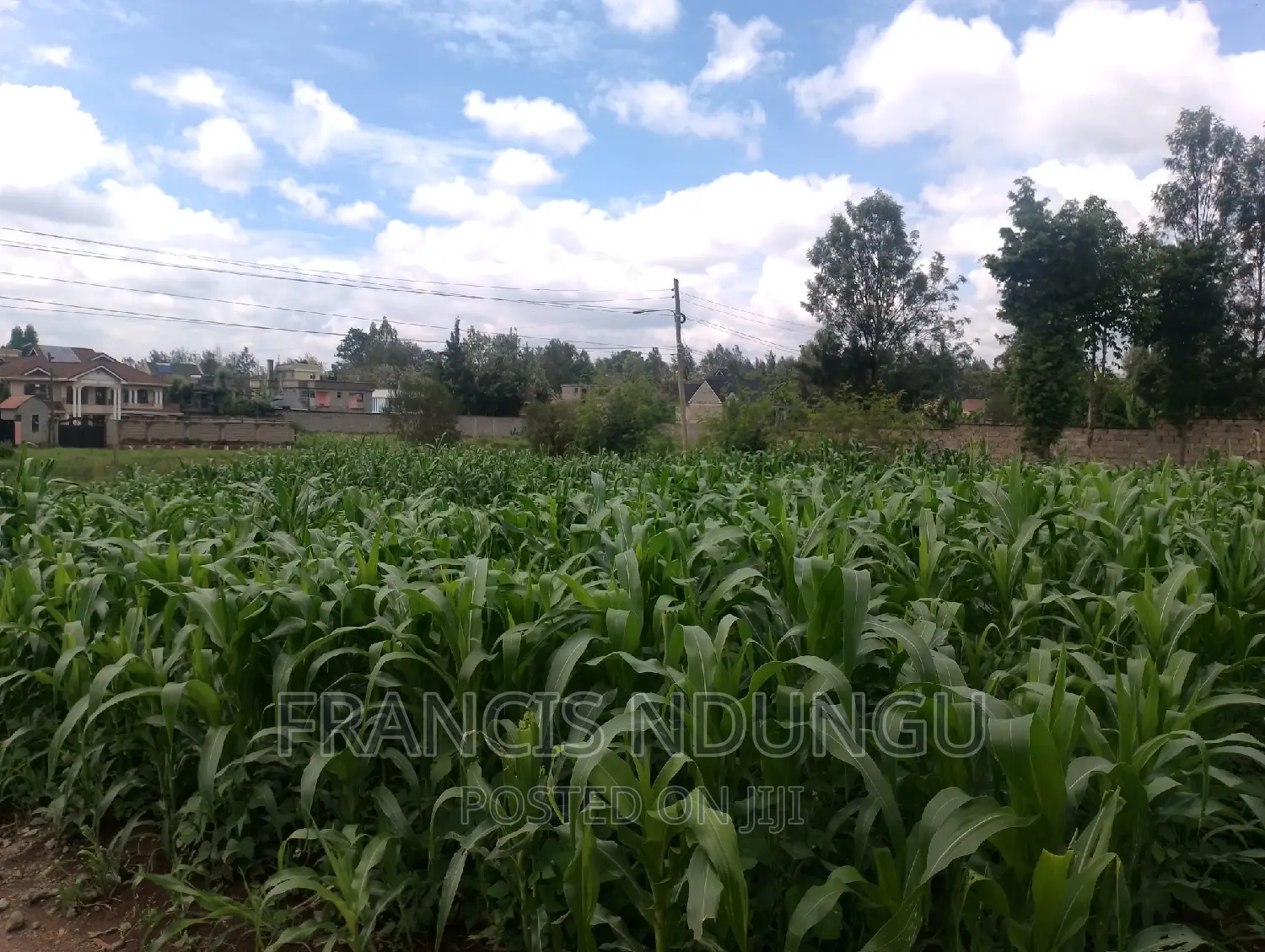 Spacious Residential Plot for Sale: 50x100 Meters in Kamiti in Kiambu / Kiambu 