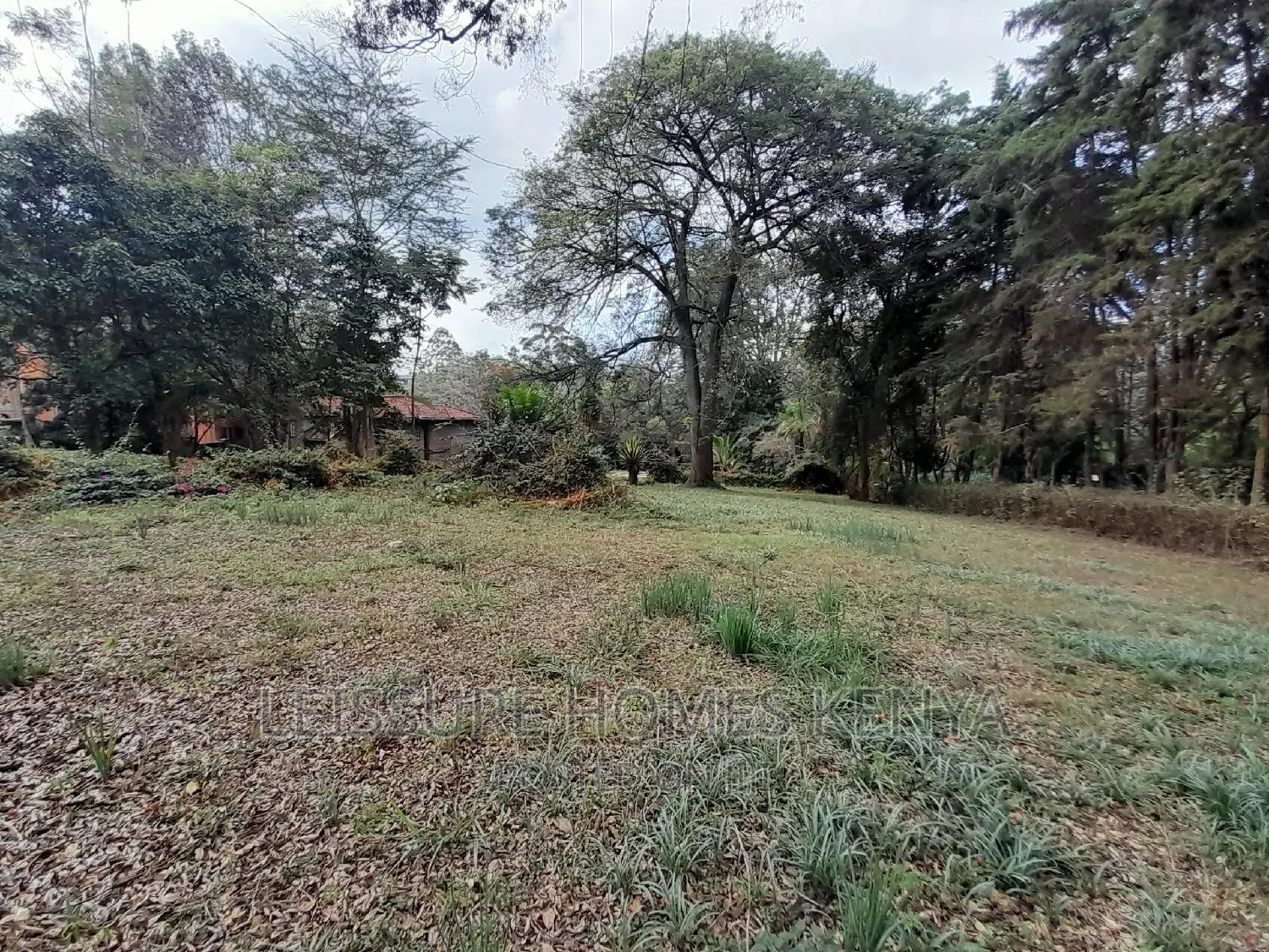 1.4 Acre Land in Kileleshwa: A Golden Opportunity for Property Investment in Kileleshwa
