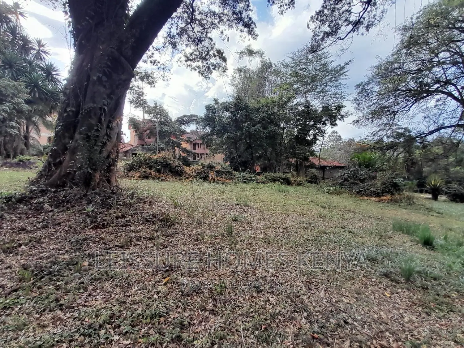 1.4 Acre Land in Kileleshwa: A Golden Opportunity for Property Investment in Kileleshwa