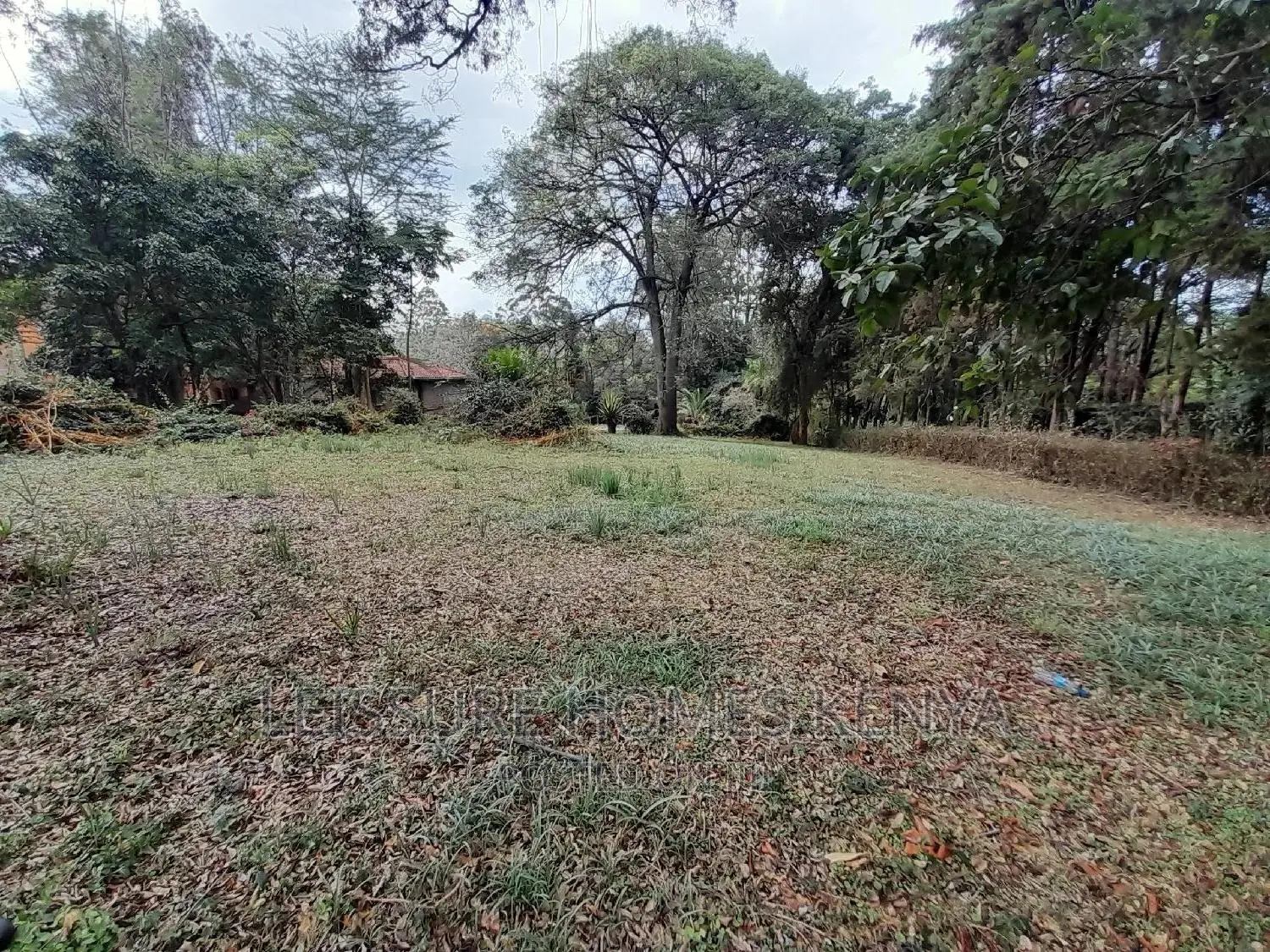 1.4 Acre Land in Kileleshwa: A Golden Opportunity for Property Investment in Kileleshwa