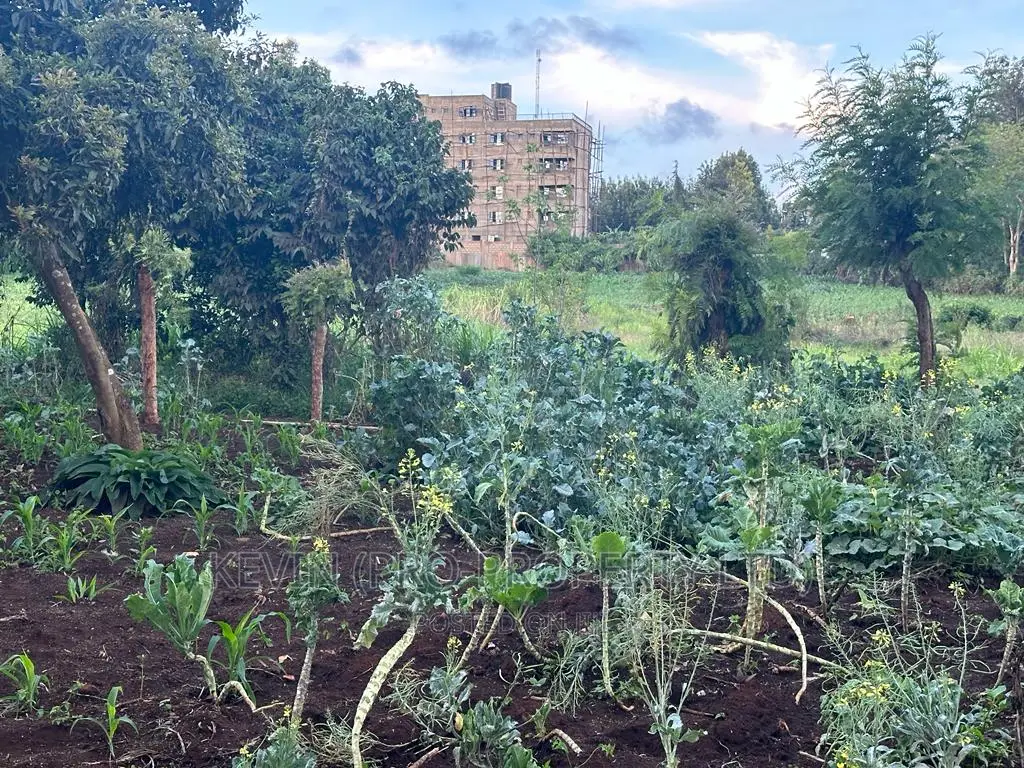 Kikuyu's Prime Commercial Plot: Buy Now and Grow Your Business in Kikuyu