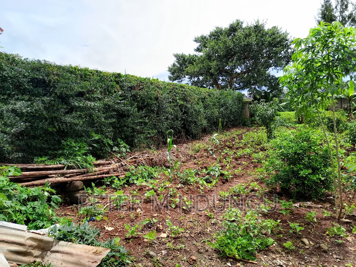 Prime Properties at Kamiti Ridge Estate - Reduced Prices! in Kiambu / Kiambu