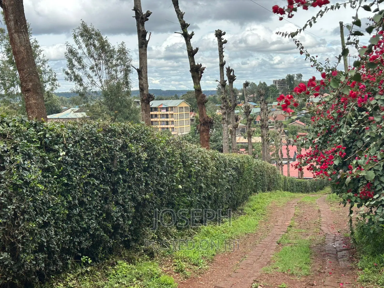 1/2 Acre Red Soil Land in Ngong: Ideal for Agriculture, Real Estate, and Profitable Invest in Oloolua