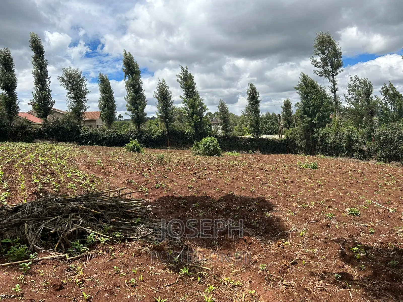 1/2 Acre Red Soil Land in Ngong: Ideal for Agriculture, Real Estate, and Profitable Invest in Oloolua