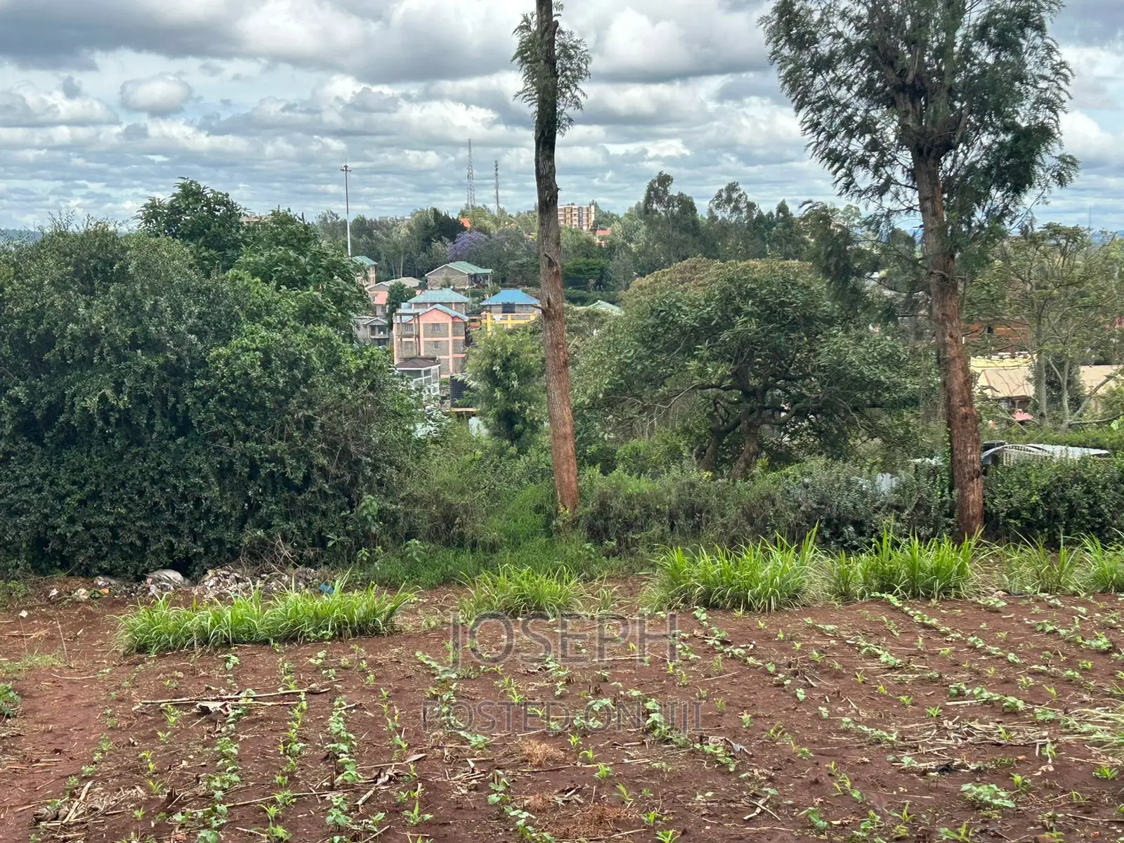 1/2 Acre Red Soil Land in Ngong: Ideal for Agriculture, Real Estate, and Profitable Invest in Oloolua