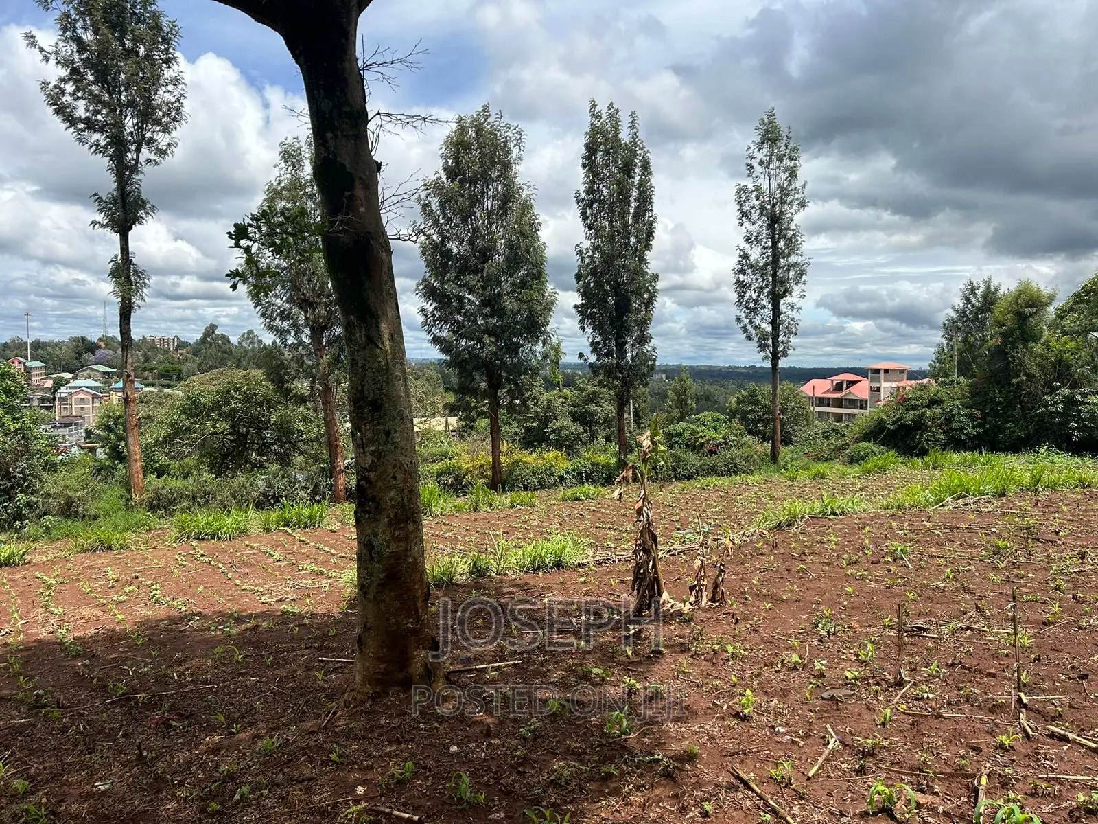 1/2 Acre Red Soil Land in Ngong: Ideal for Agriculture, Real Estate, and Profitable Invest in Oloolua