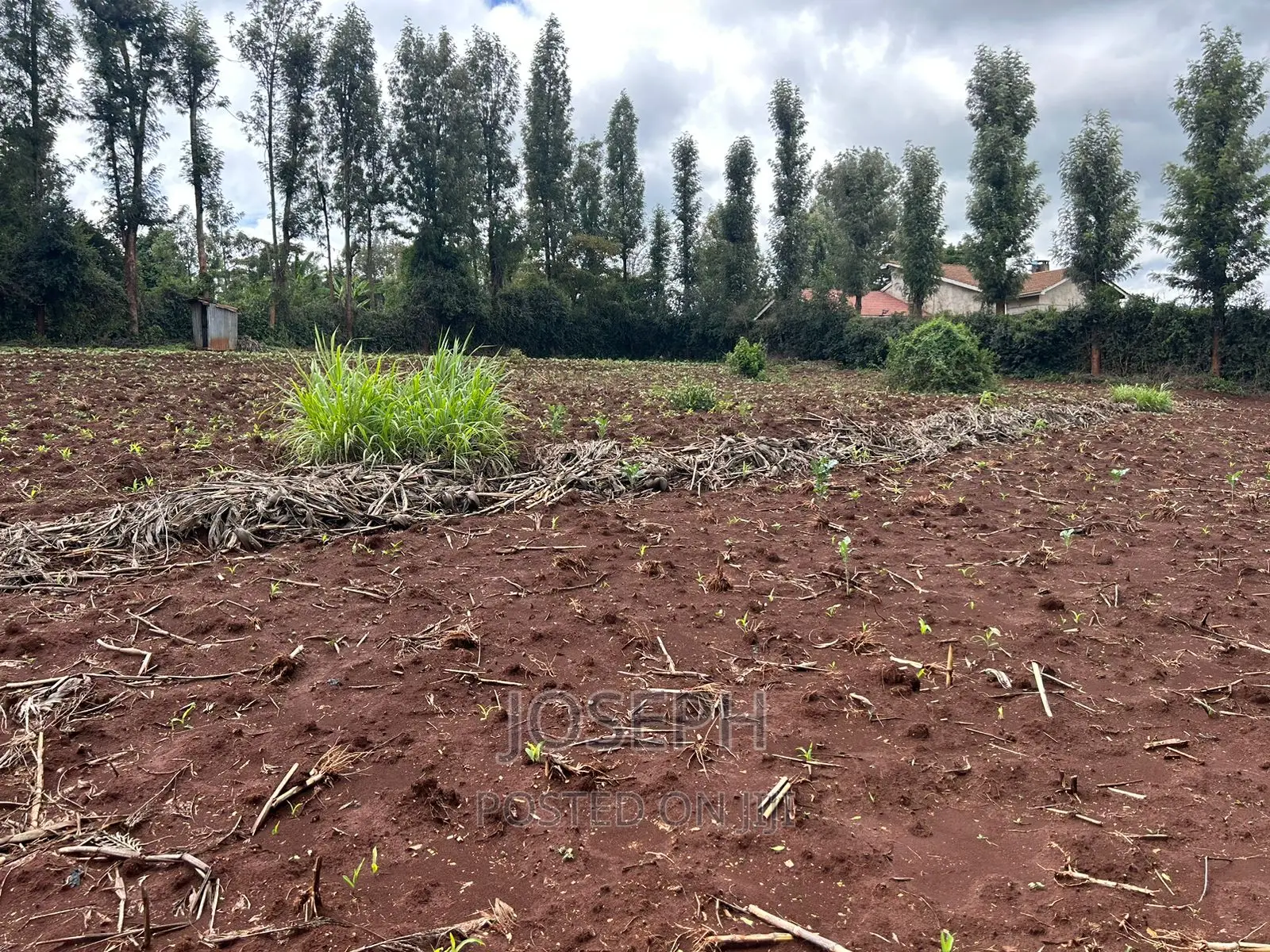 1/2 Acre Red Soil Land in Ngong: Ideal for Agriculture, Real Estate, and Profitable Invest in Oloolua