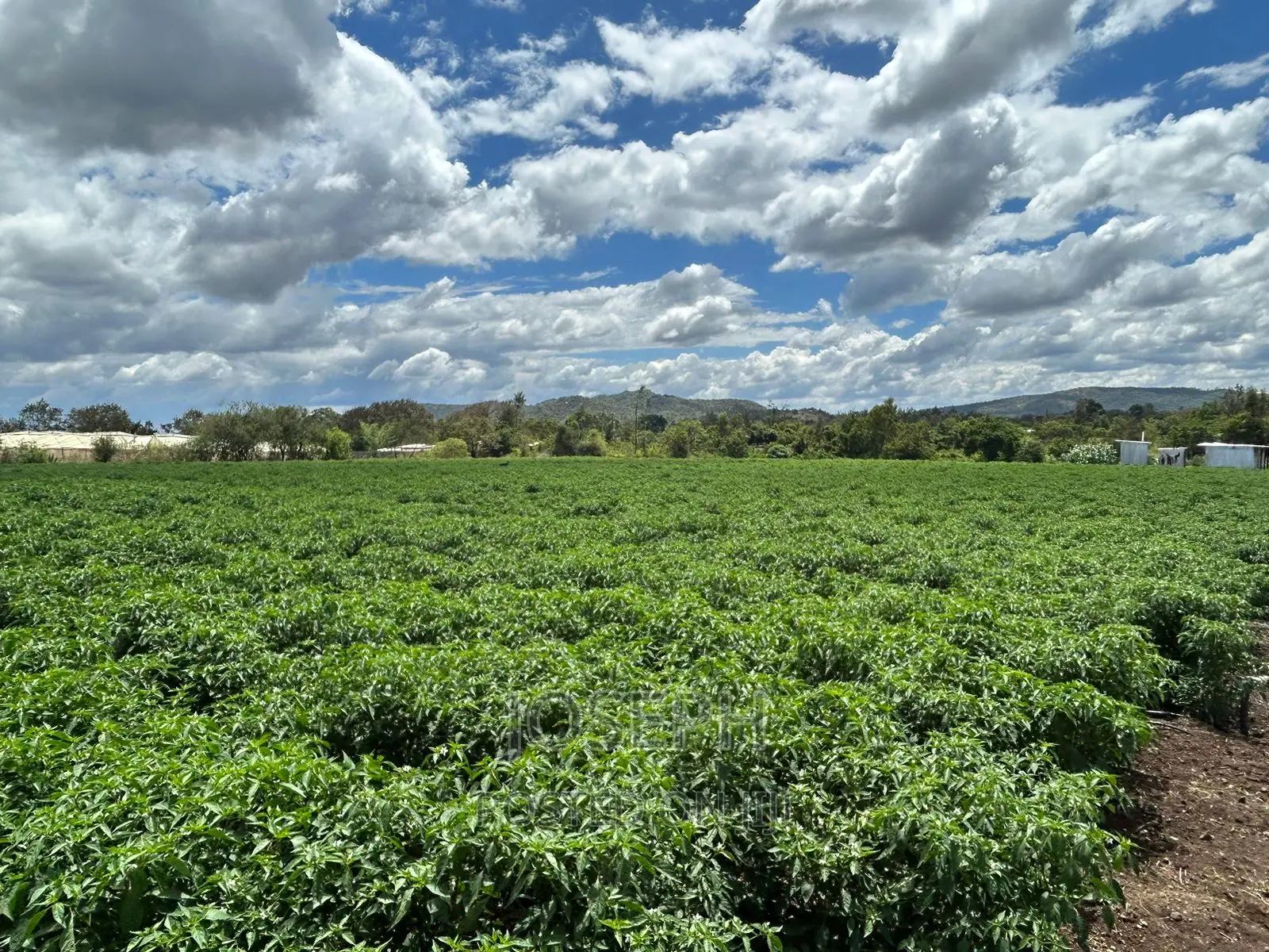 7-acre Farm with River Frontage in Sagana: Ready for Investment in Kerugoya