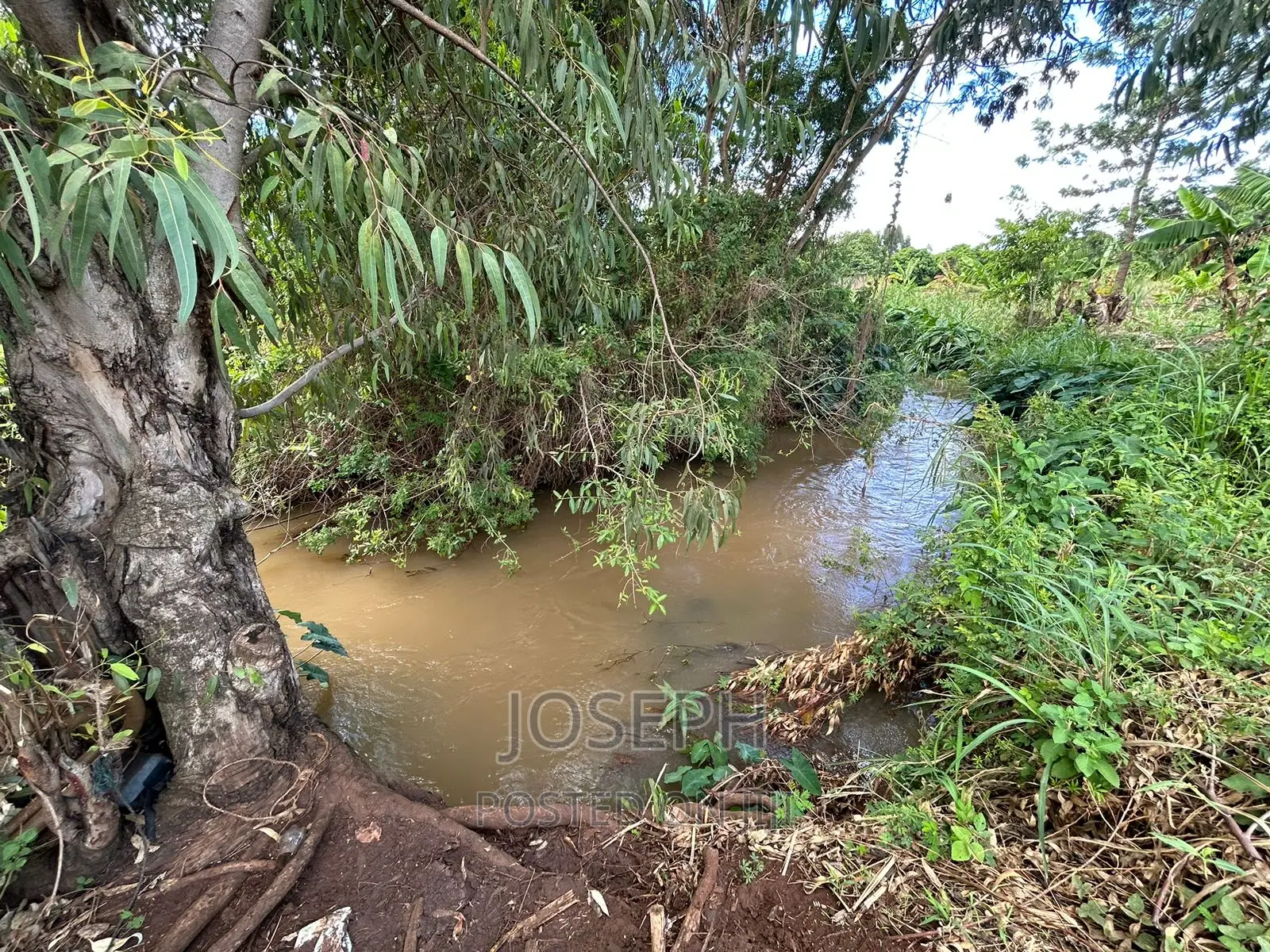 7-acre Farm with River Frontage in Sagana: Ready for Investment in Kerugoya