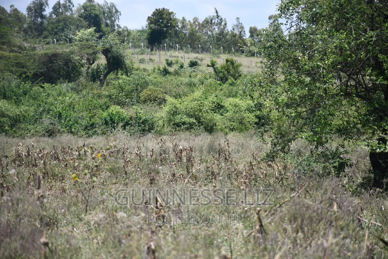 Mavueni 2nd Row - MLD Highway: Prime Location Near Mavueni Center - Accessible in Mnarani