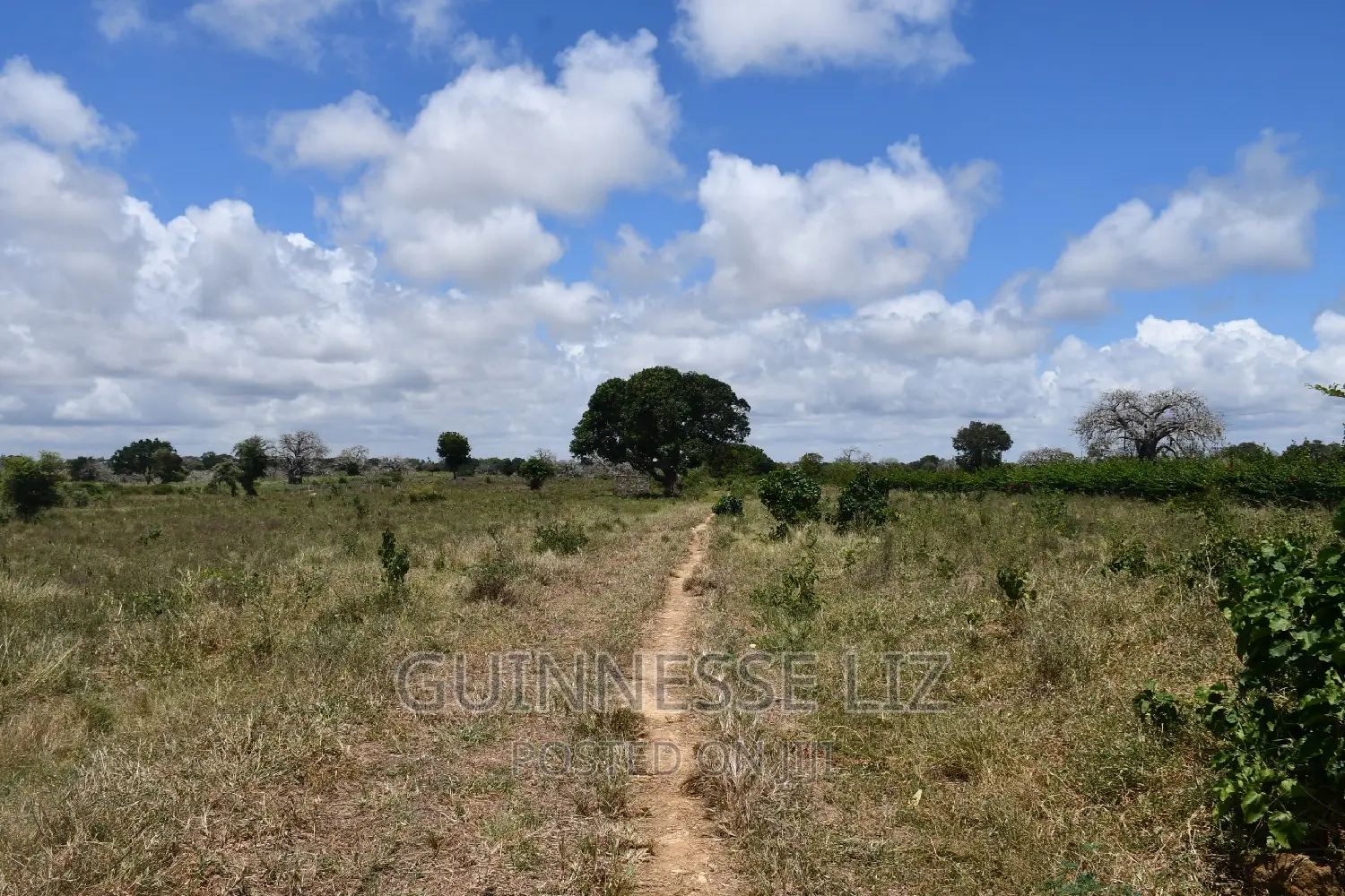 Mavueni 2nd Row - MLD Highway: Prime Location Near Mavueni Center - Accessible in Mnarani