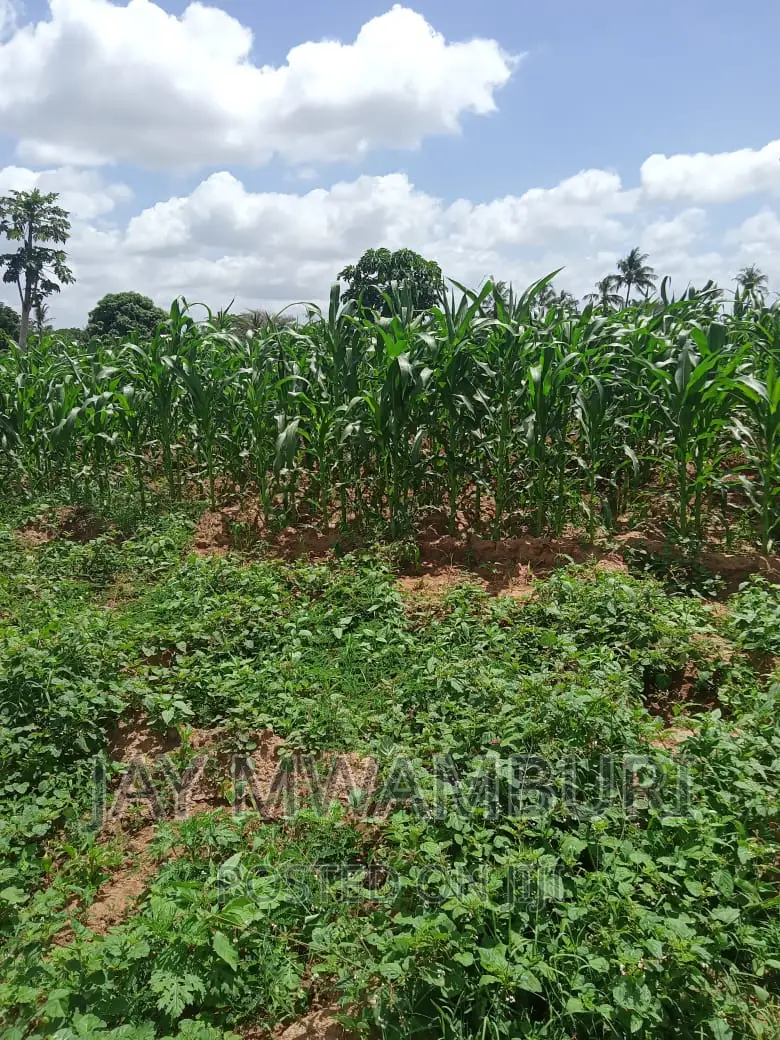 200 Acres Touching River Kilifi in Bamba