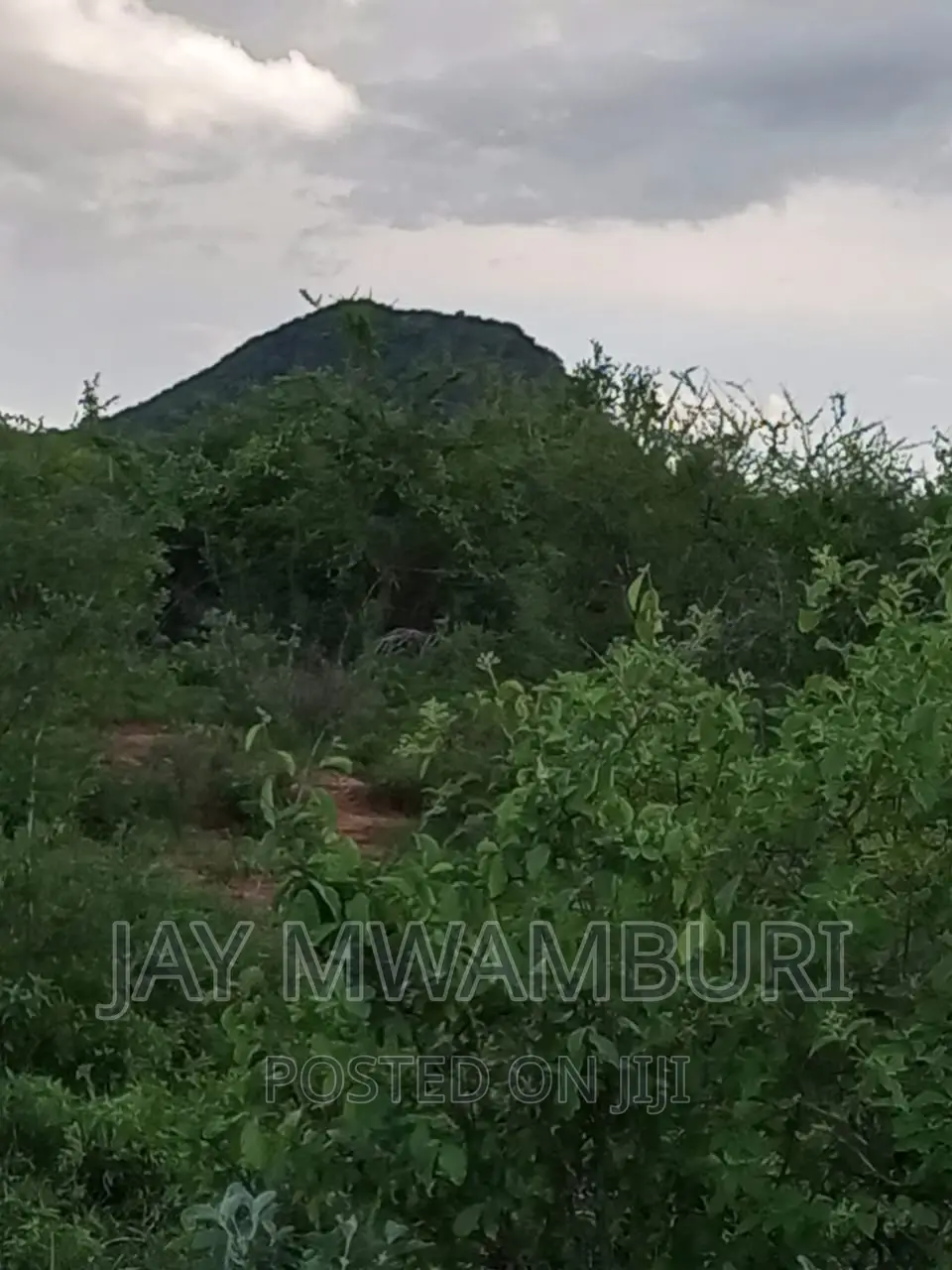 5 Acre Land Taveta in Chala