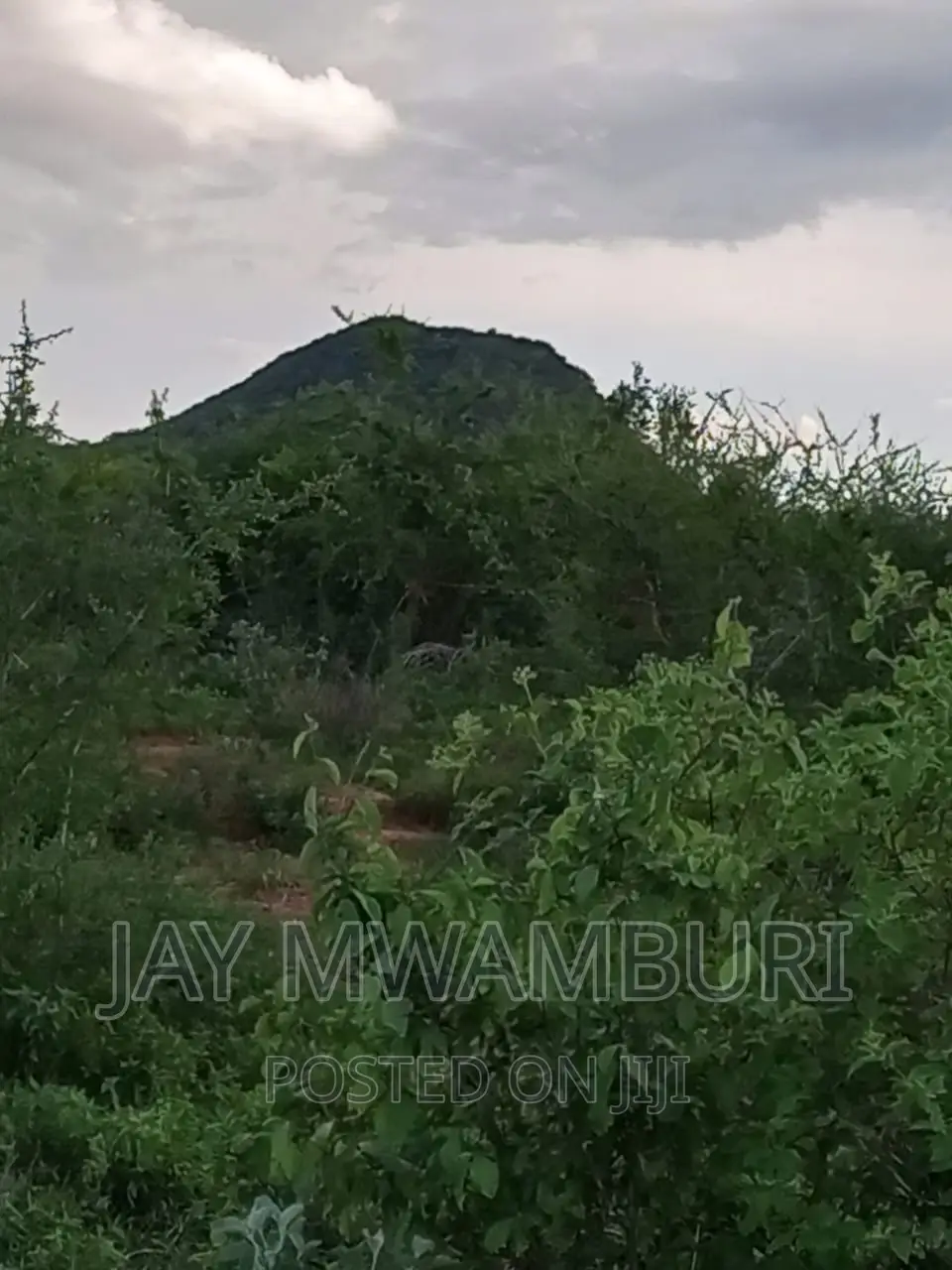 5 Acre Land Taveta in Chala