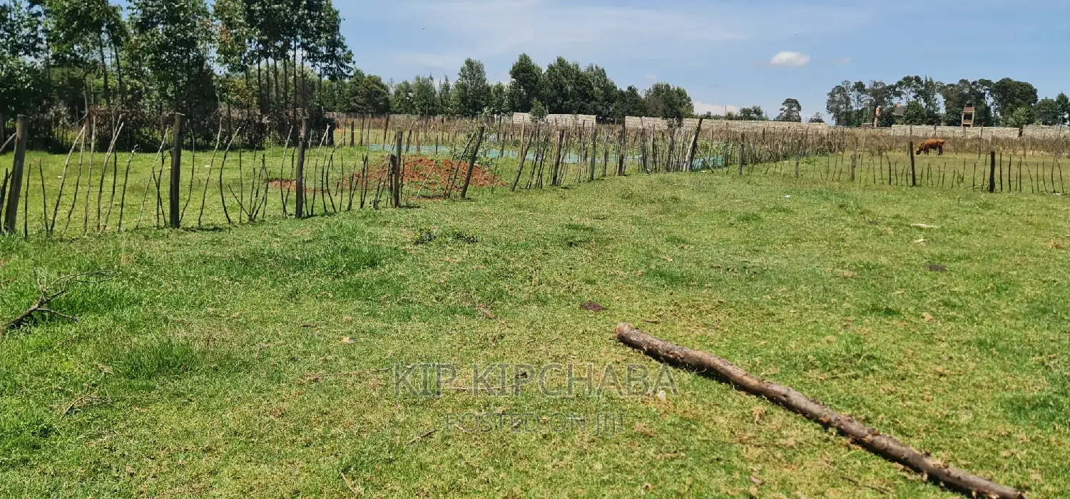 Prime Plot for Sale in Royalton After Annex Eldoret in Racecourse