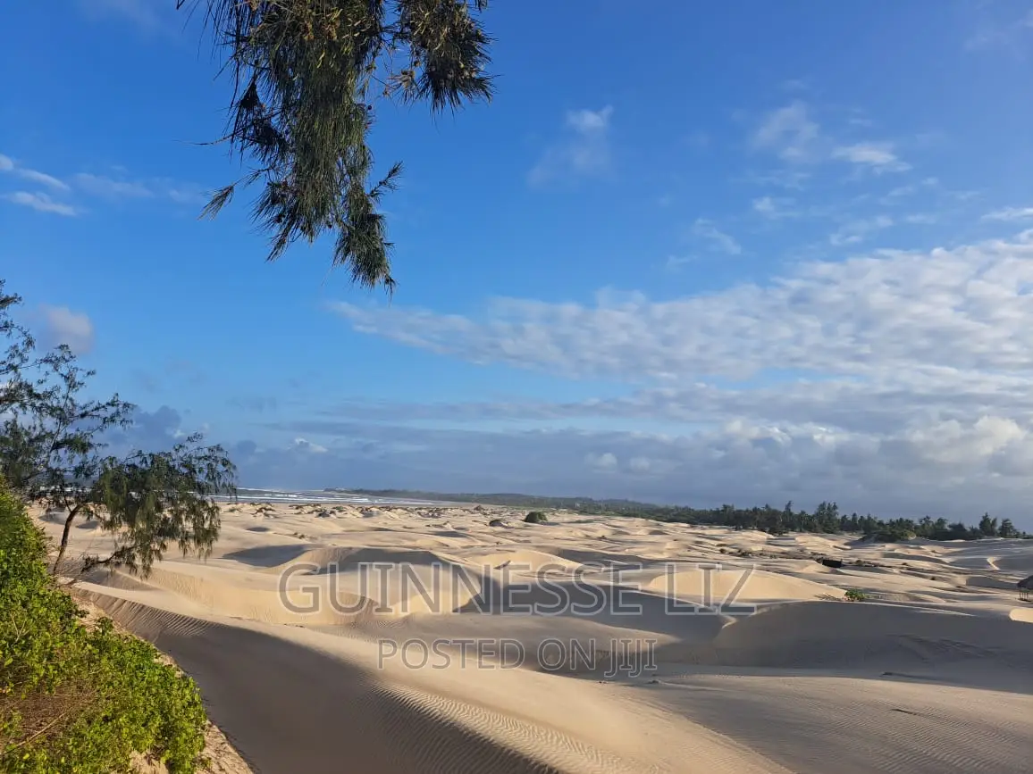 Beachfront Land - 6M Plot for Sale in Mamburui, Malindi - Invest Today in Town Centre