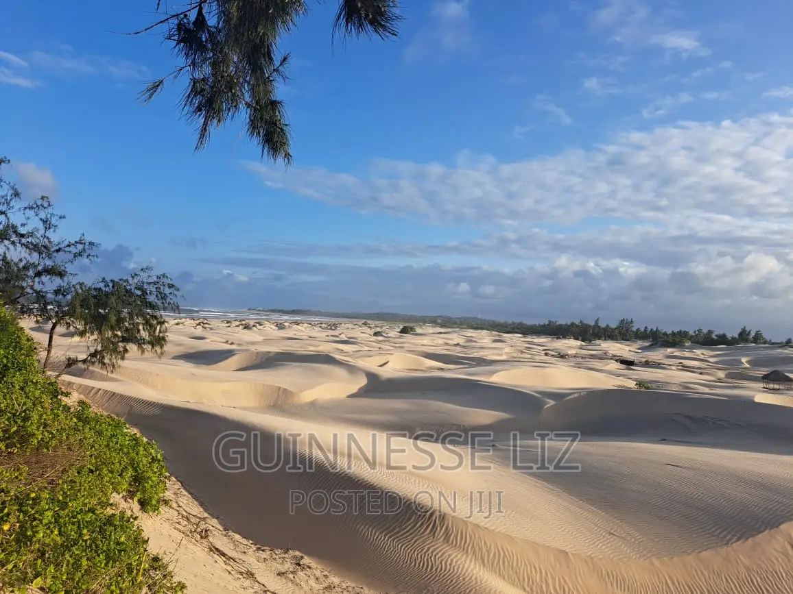Beachfront Land - 6M Plot for Sale in Mamburui, Malindi - Invest Today in Town Centre