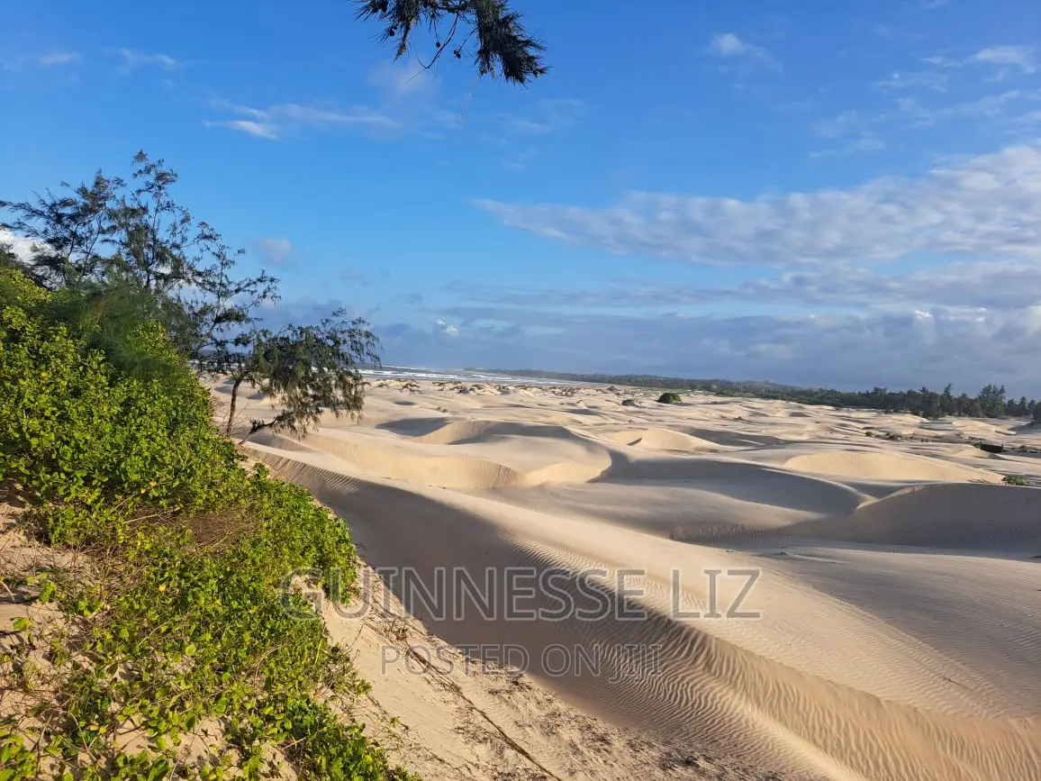 Beachfront Land - 6M Plot for Sale in Mamburui, Malindi - Invest Today in Town Centre