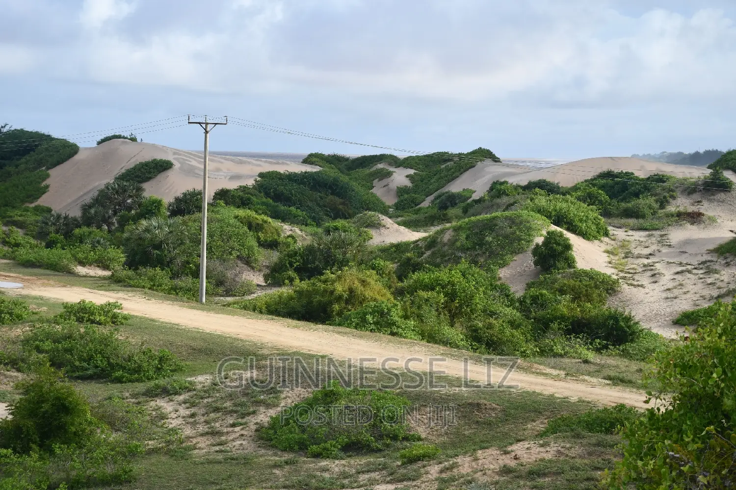 Beachfront Land - 6M Plot for Sale in Mamburui, Malindi - Invest Today in Town Centre
