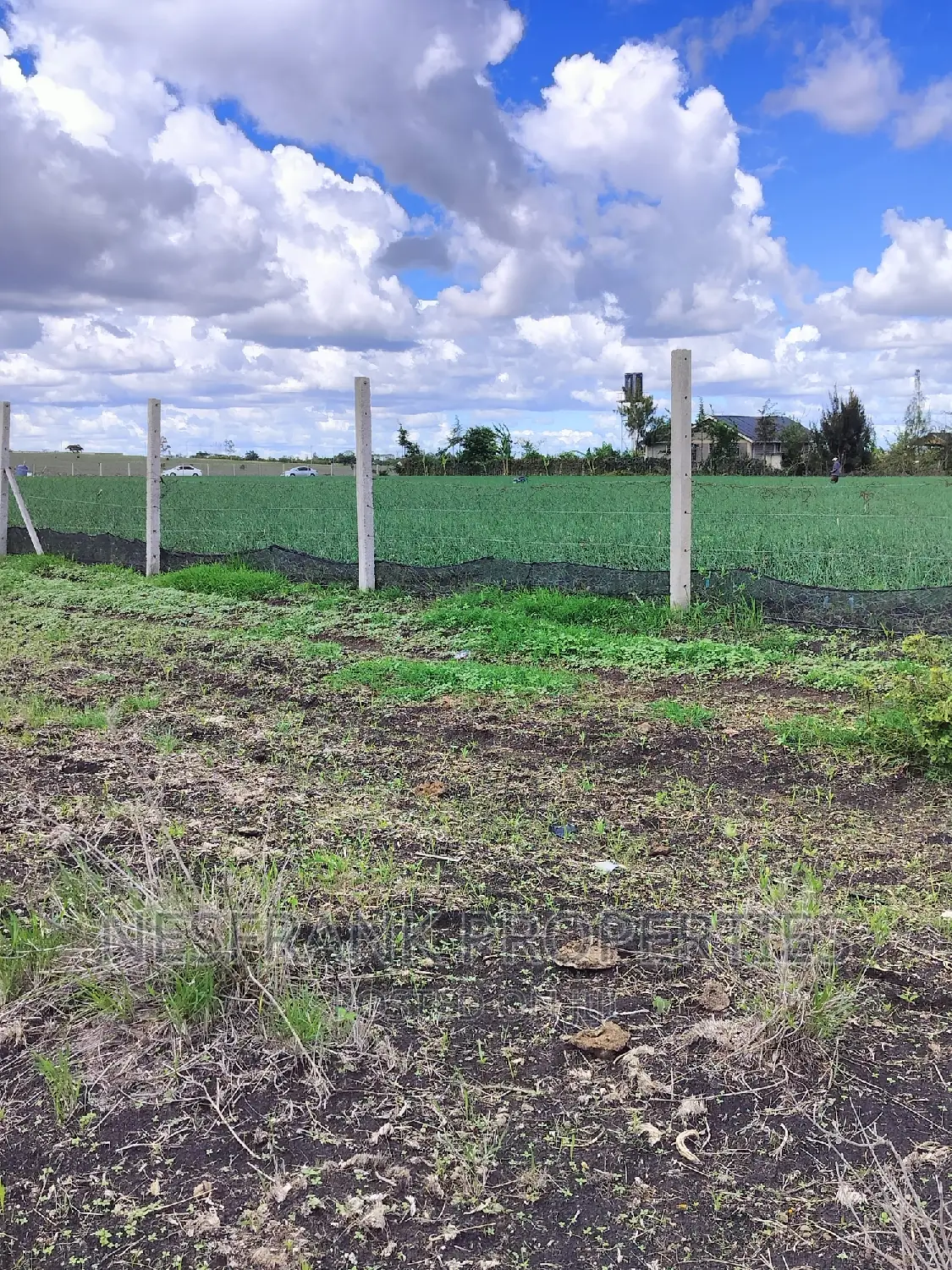Isinya Prime Plots in Isinya