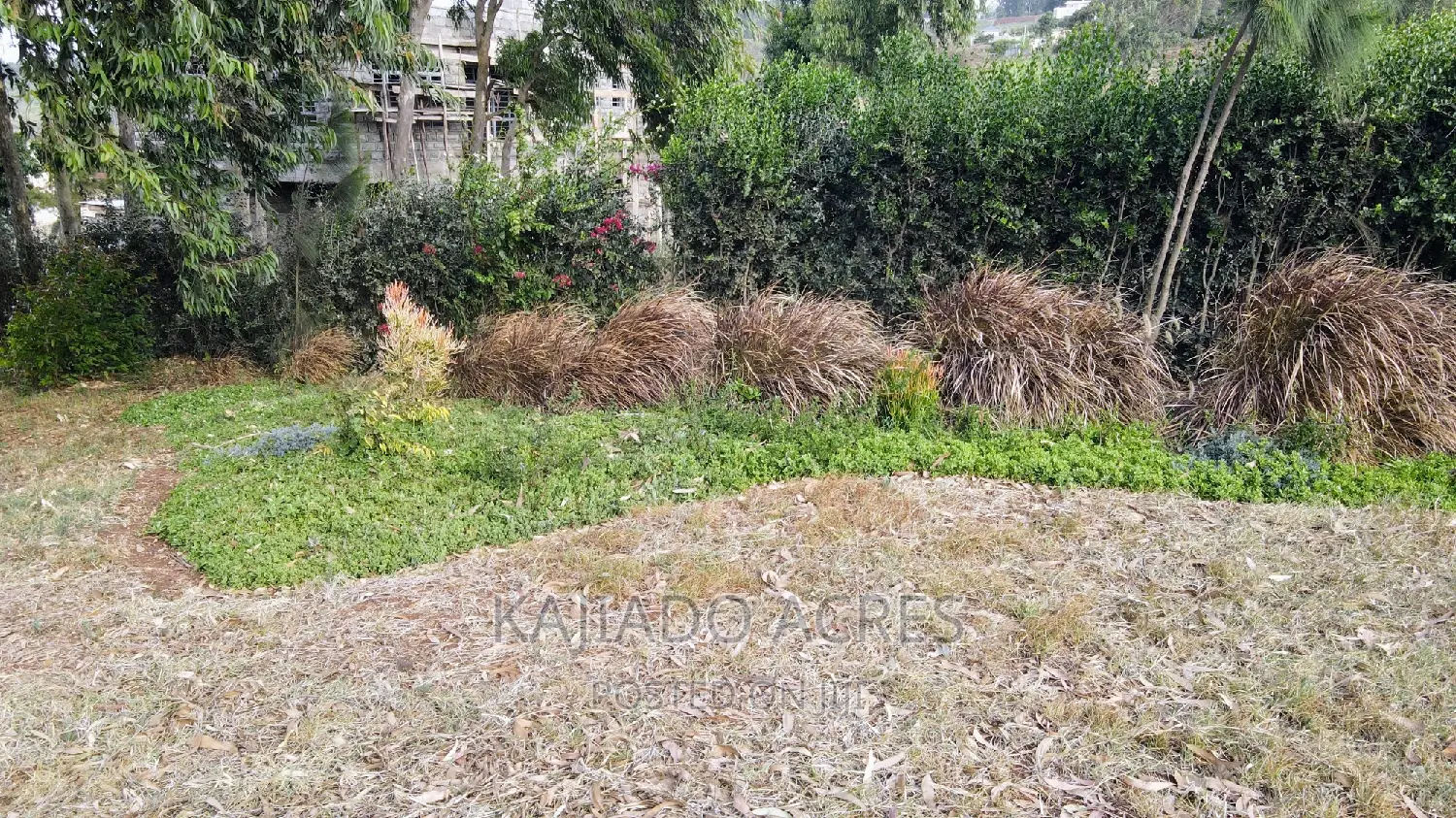 Scenic 2.3-Acre Property Offering Panoramic Views in Kibiko, Lemiso at in Ngong
