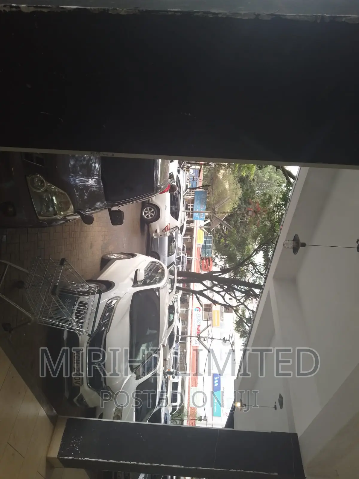 Lease Basement Shops: Discover Hidden Gems in Our Listings! in Parklands/Highridge
