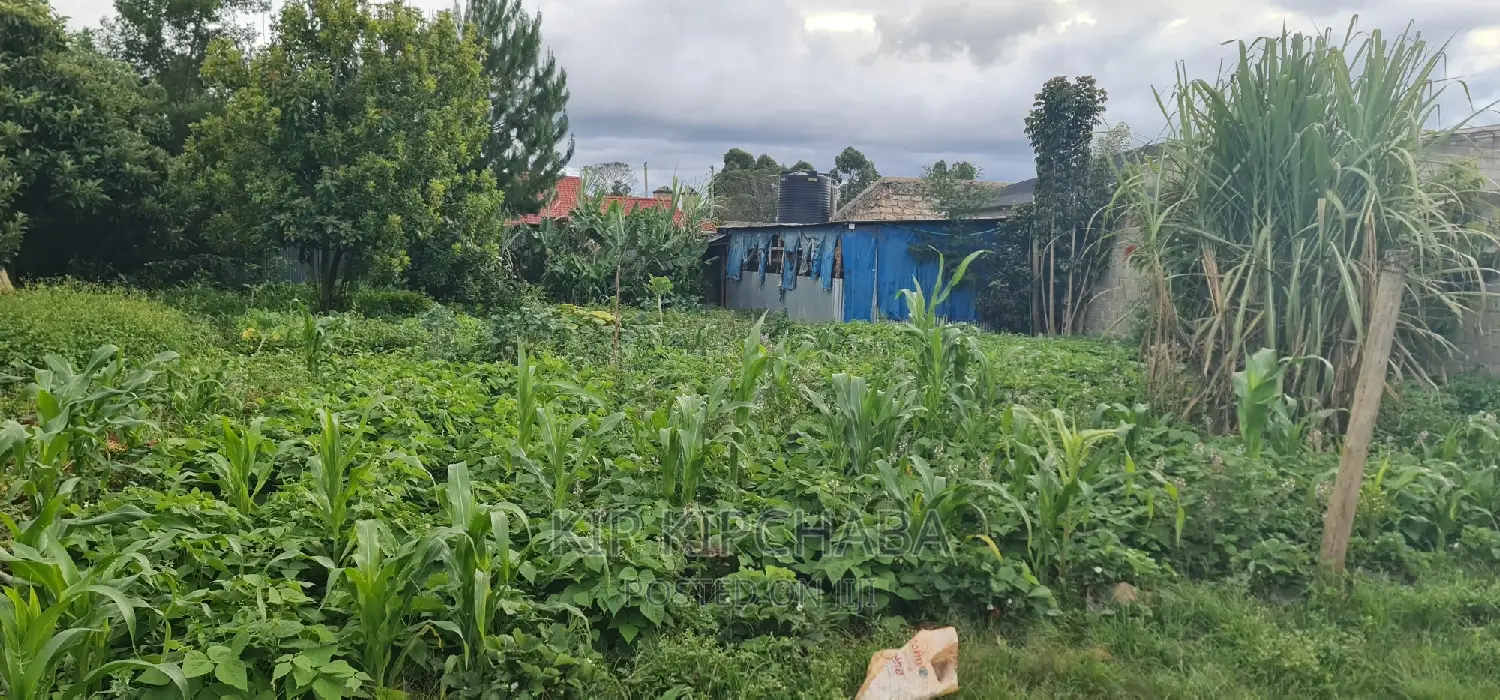 1 Bedroom Home in Racecourse Annex - For Sale Today in Racecourse