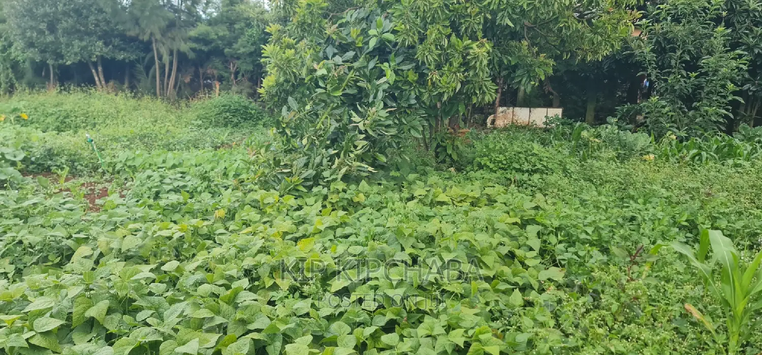 1 Bedroom Home in Racecourse Annex - For Sale Today in Racecourse
