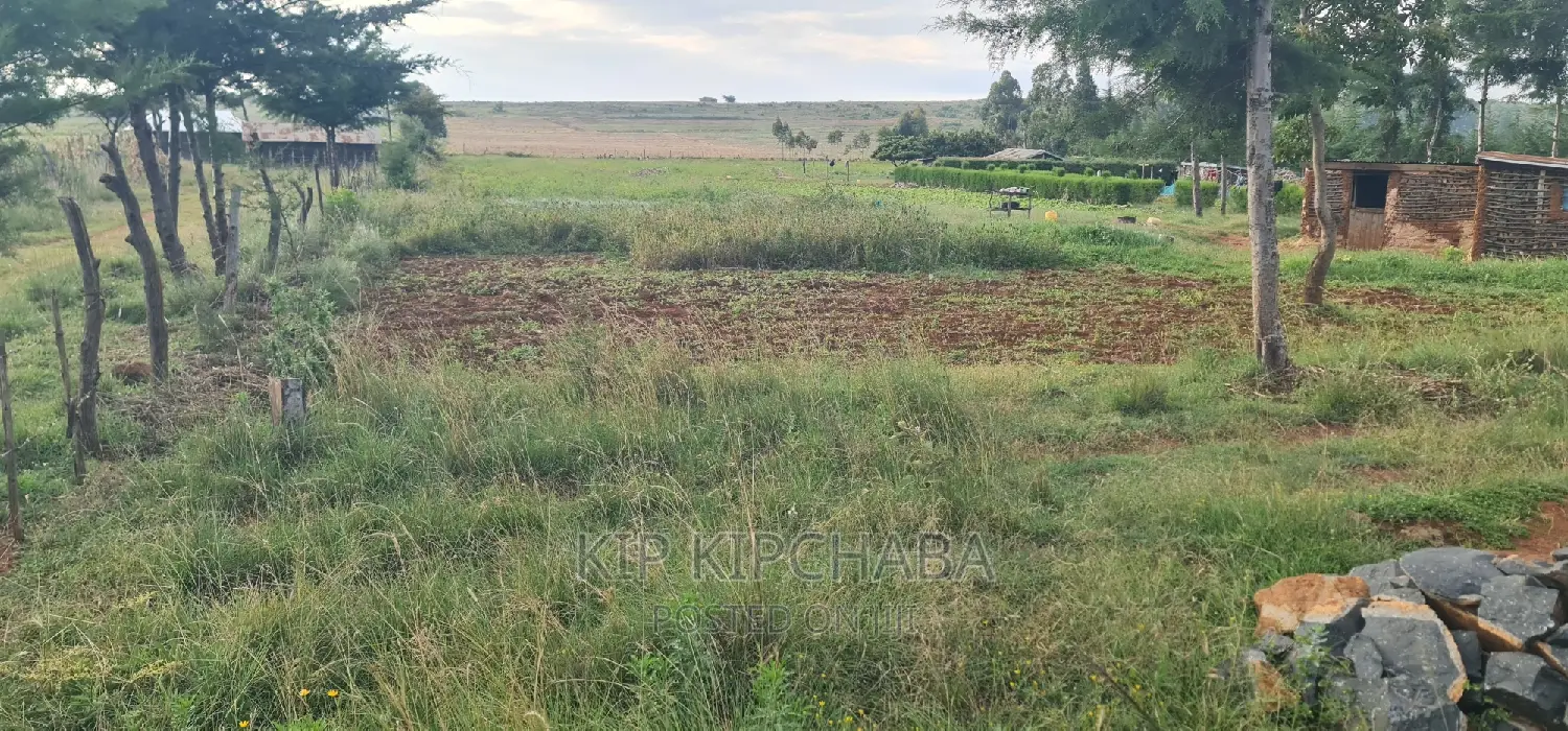 30 Acres Land Available in Moiben Rayfarm, Eldoret in Moiben