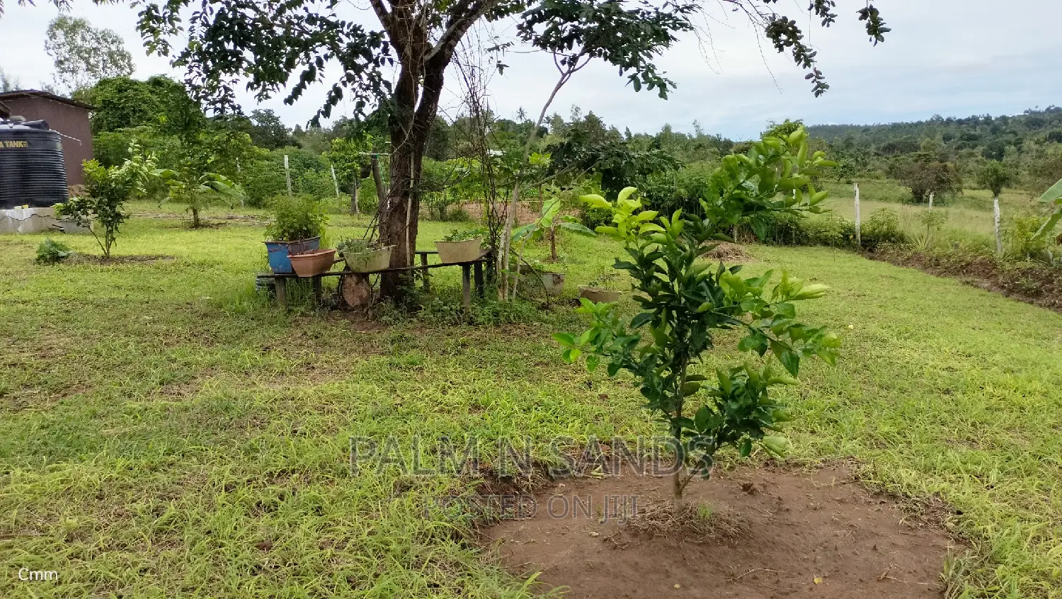 Fruit Farm Opportunity - 3.46 Acres in Shimbahills in Kubo South