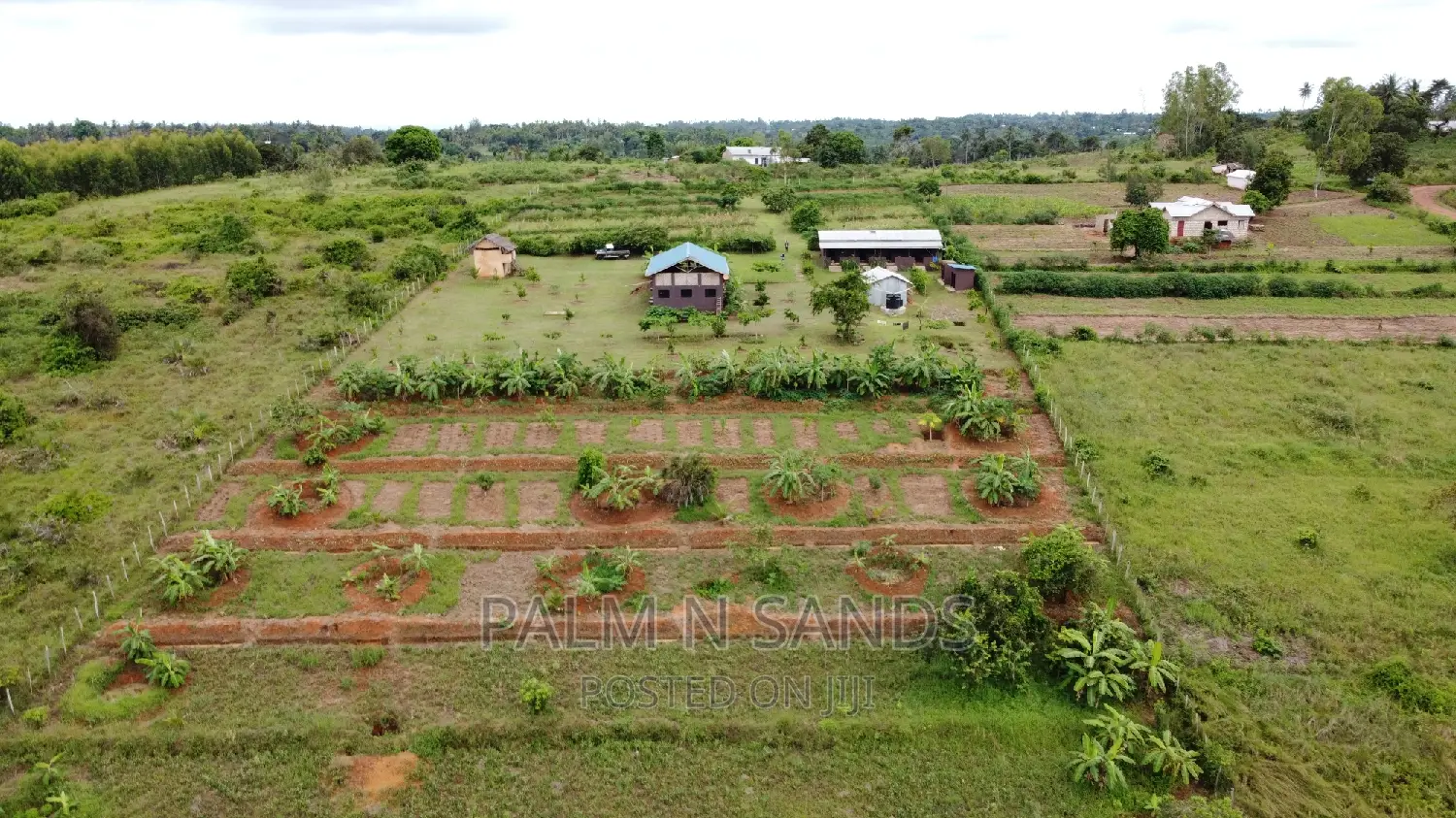 Fruit Farm Opportunity - 3.46 Acres in Shimbahills in Kubo South