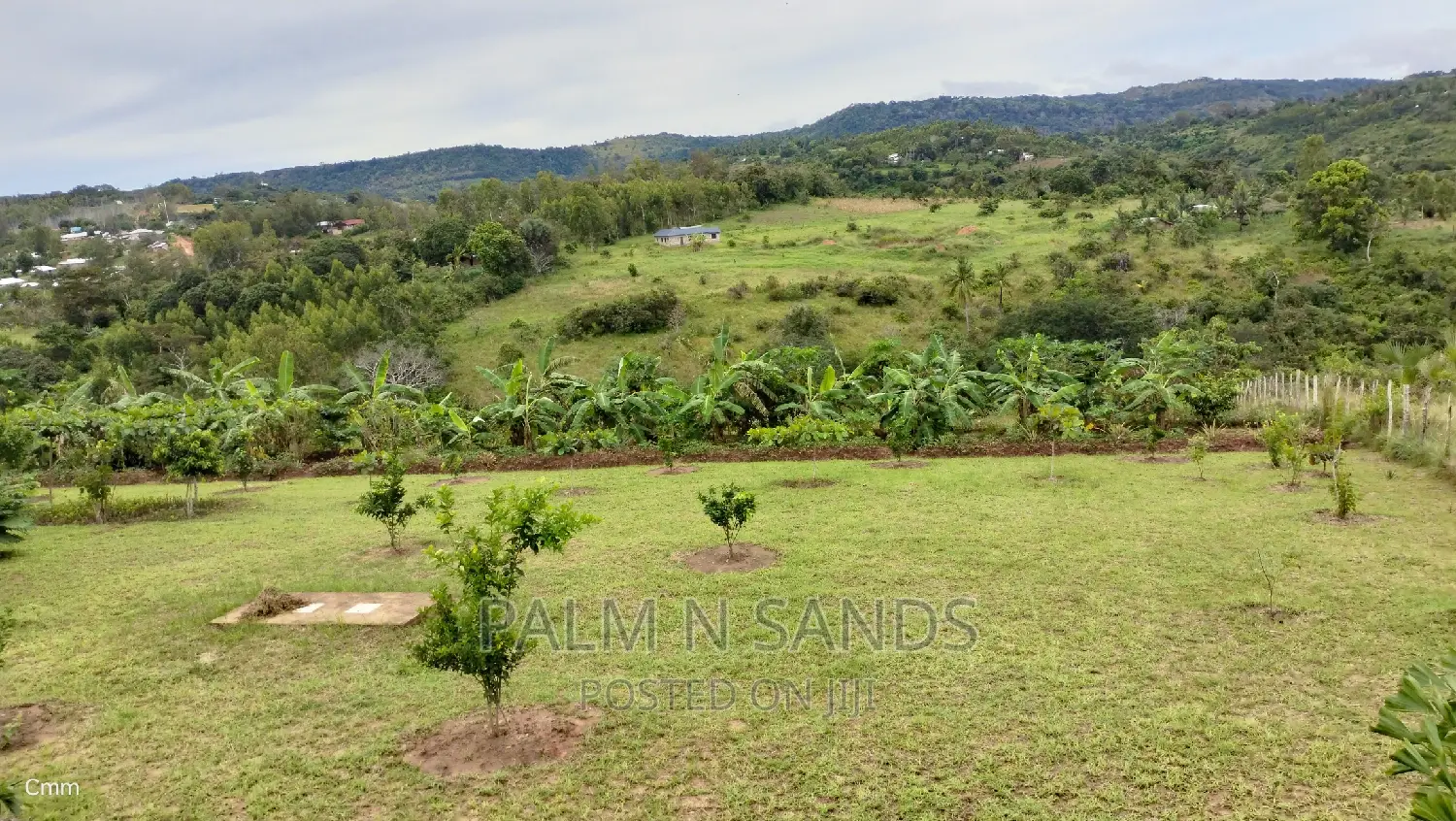 Fruit Farm Opportunity - 3.46 Acres in Shimbahills in Kubo South