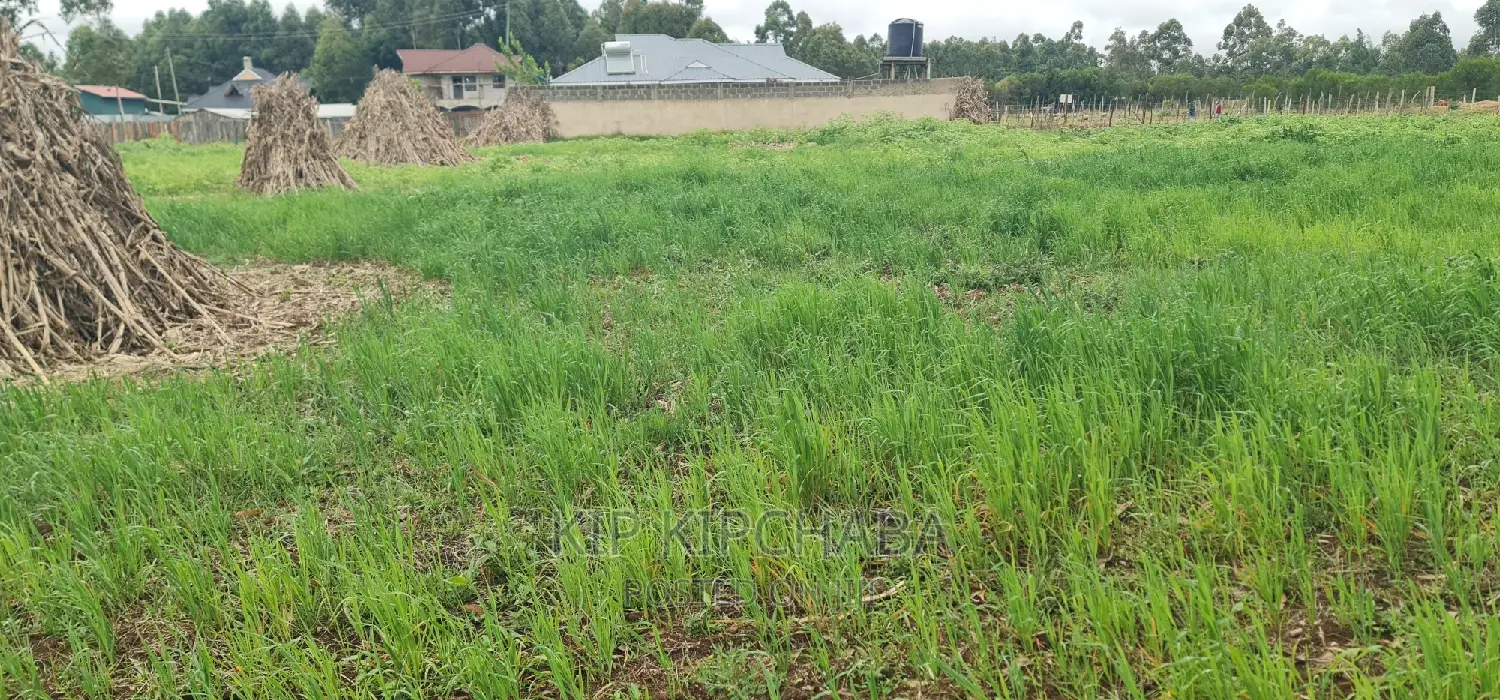 Outspan Eldoret: Plots for Sale Today in Racecourse