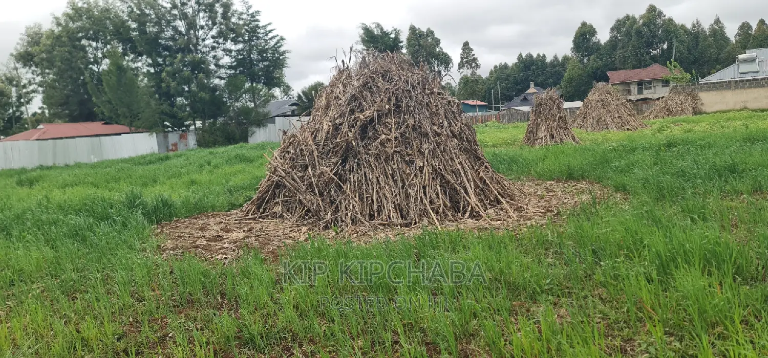 Outspan Eldoret: Plots for Sale Today in Racecourse