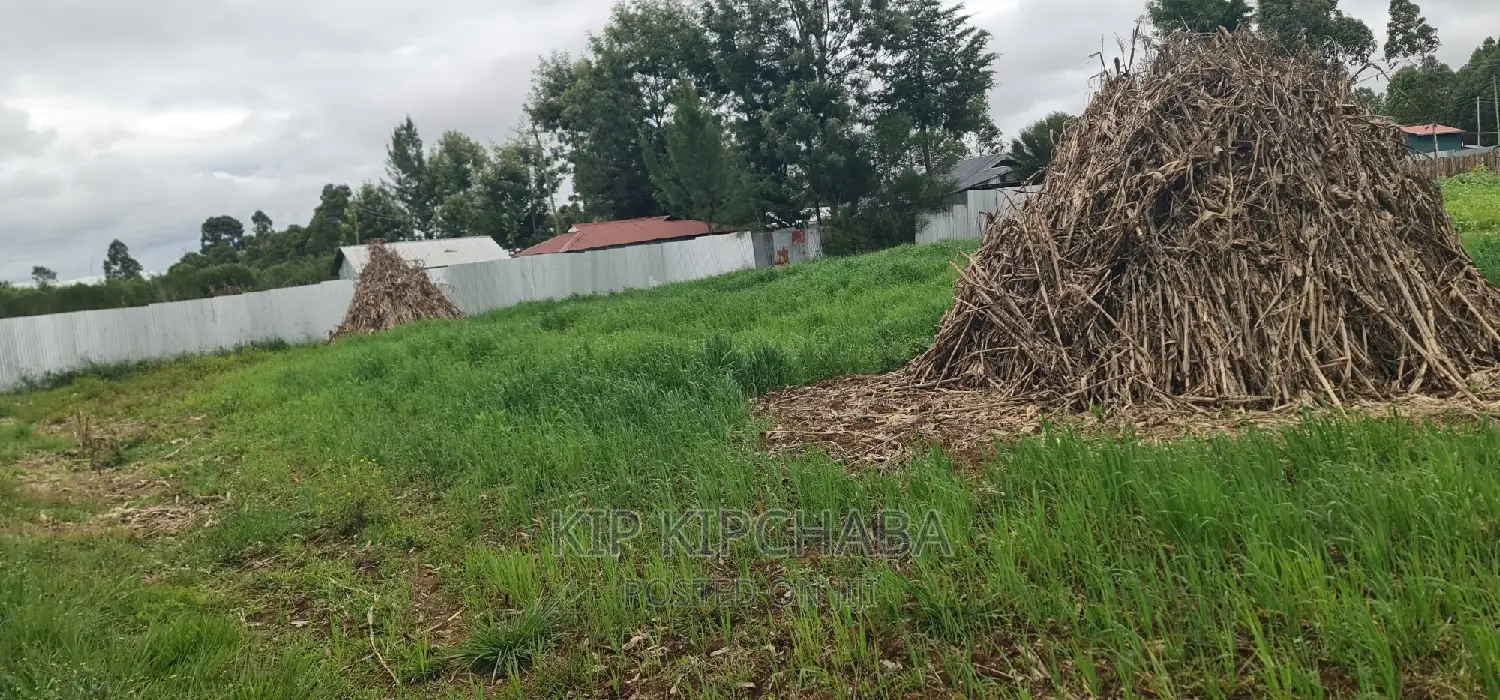 Outspan Eldoret: Plots for Sale Today in Racecourse